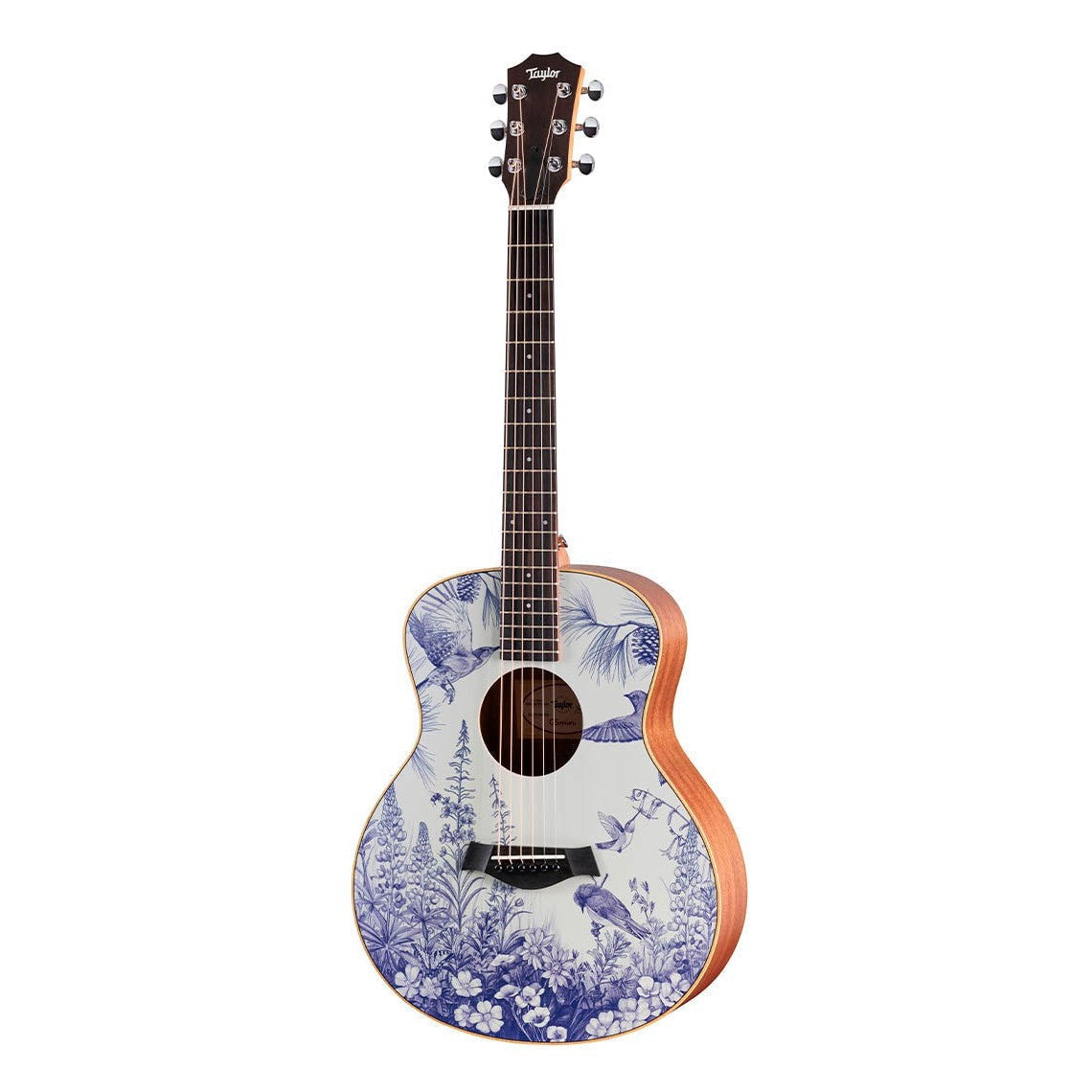 Đàn Guitar Acoustic Stio x Taylor Mtn Series-Mai Nguyên Music