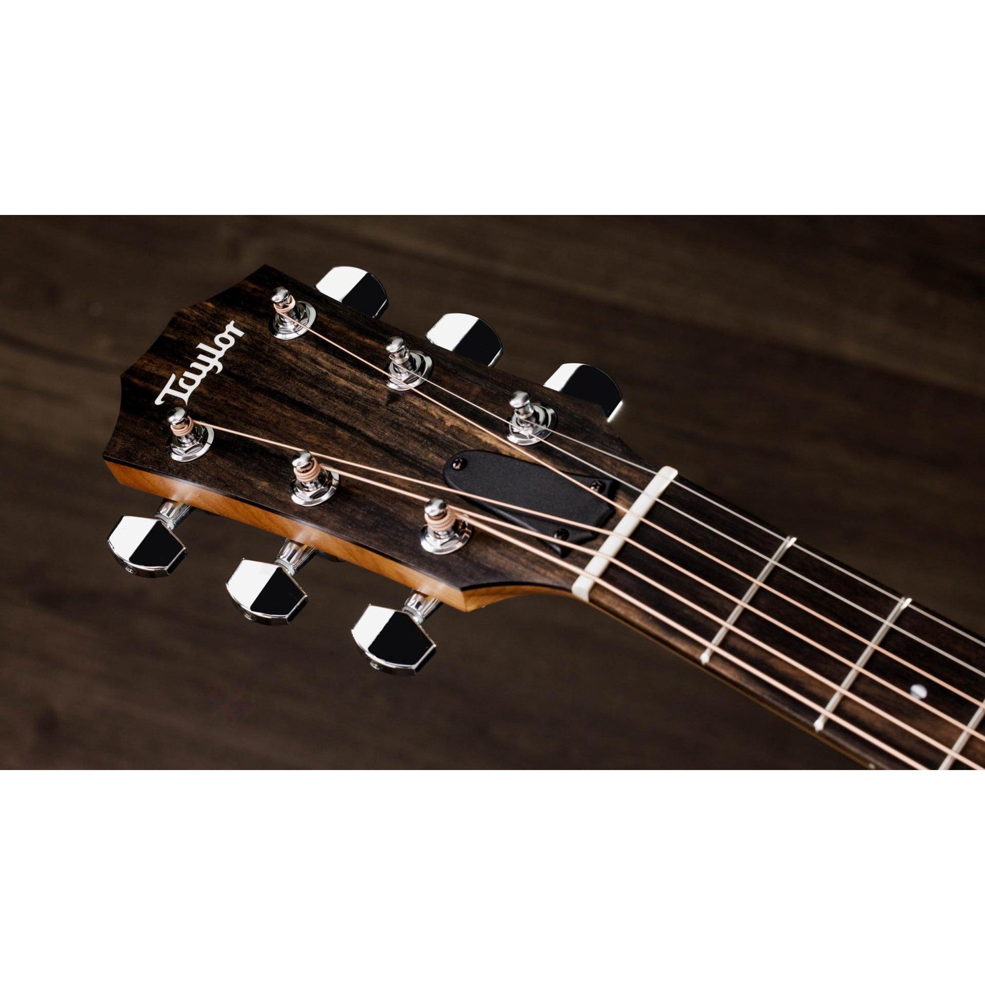 Đàn Guitar Acoustic Taylor 110ce-S w/Softshell Case-Mai Nguyên Music