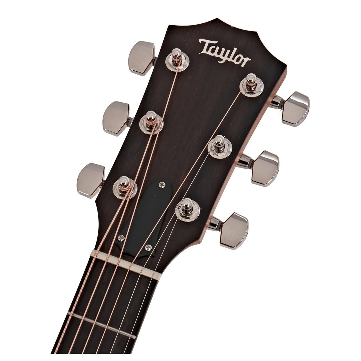 Đàn Guitar Acoustic Taylor 210ce Plus w/Bag-Mai Nguyên Music