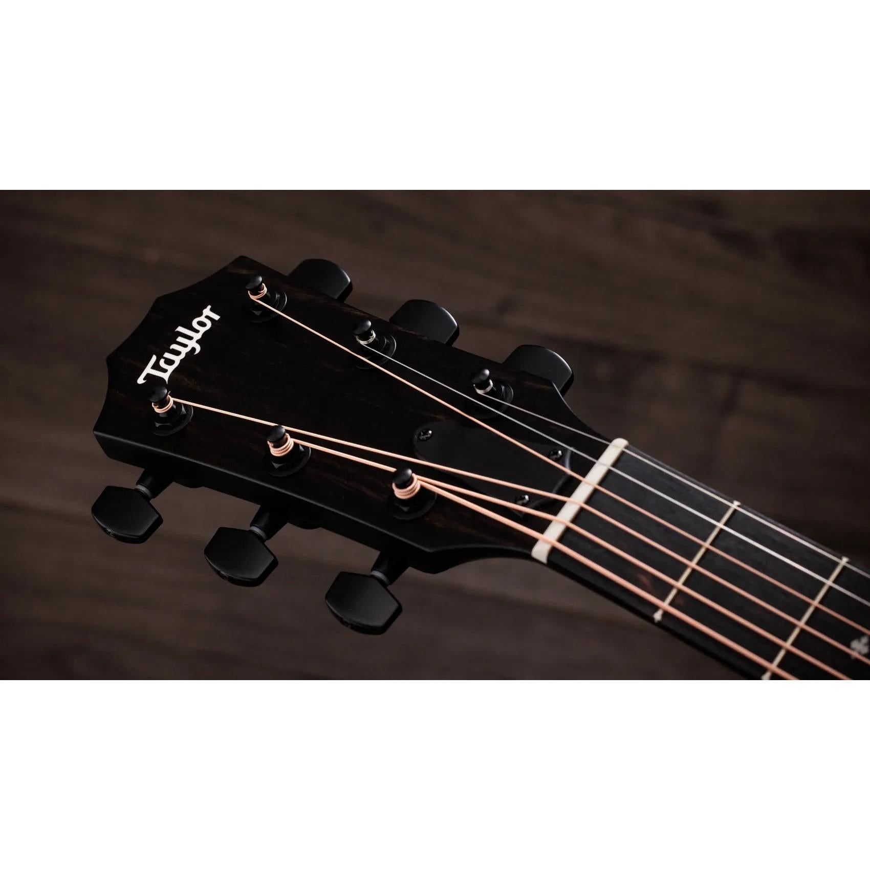 Đàn Guitar Acoustic Taylor 214ce Plus Special Edition-Mai Nguyên Music