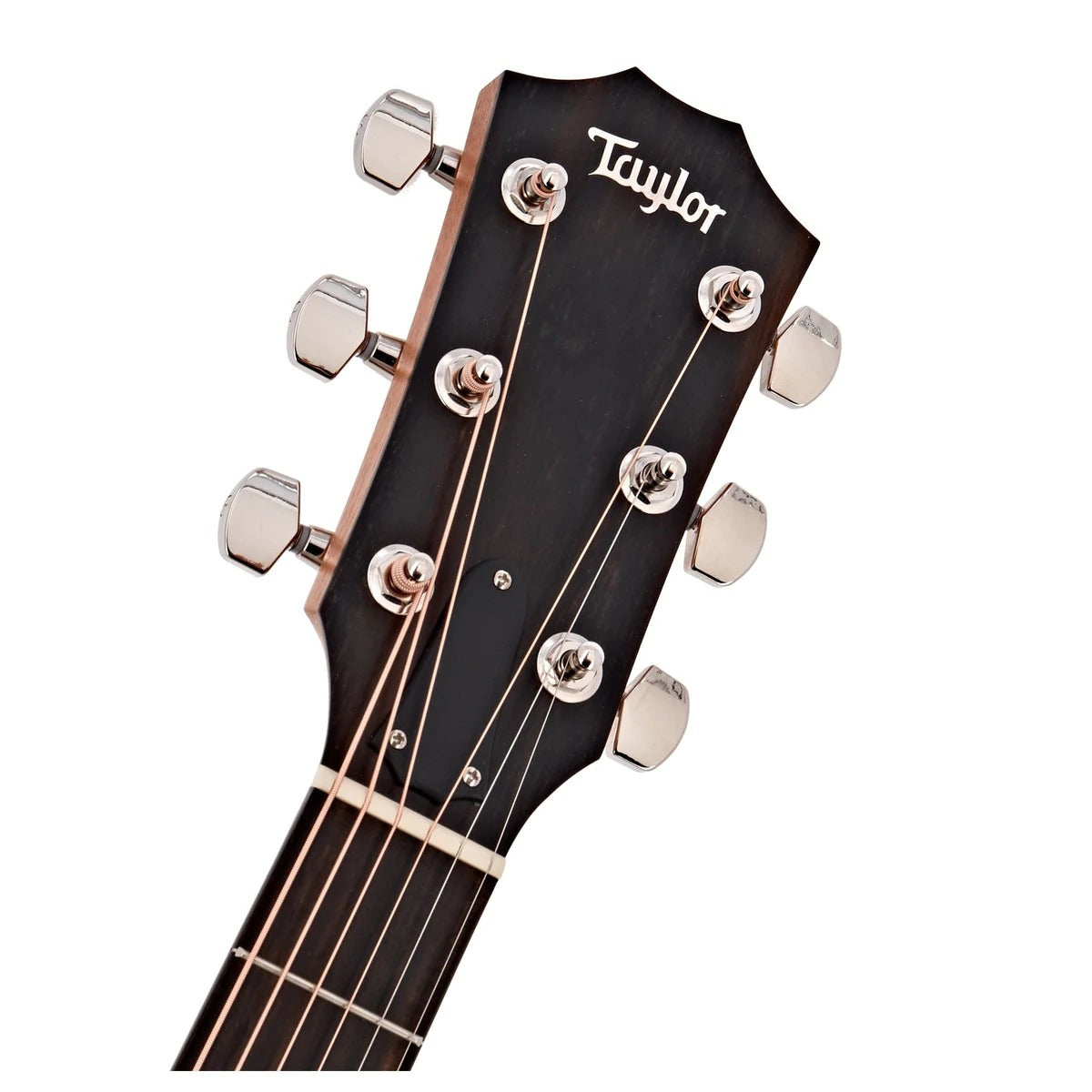 Đàn Guitar Acoustic Taylor 214ce Plus w/Bag-Mai Nguyên Music