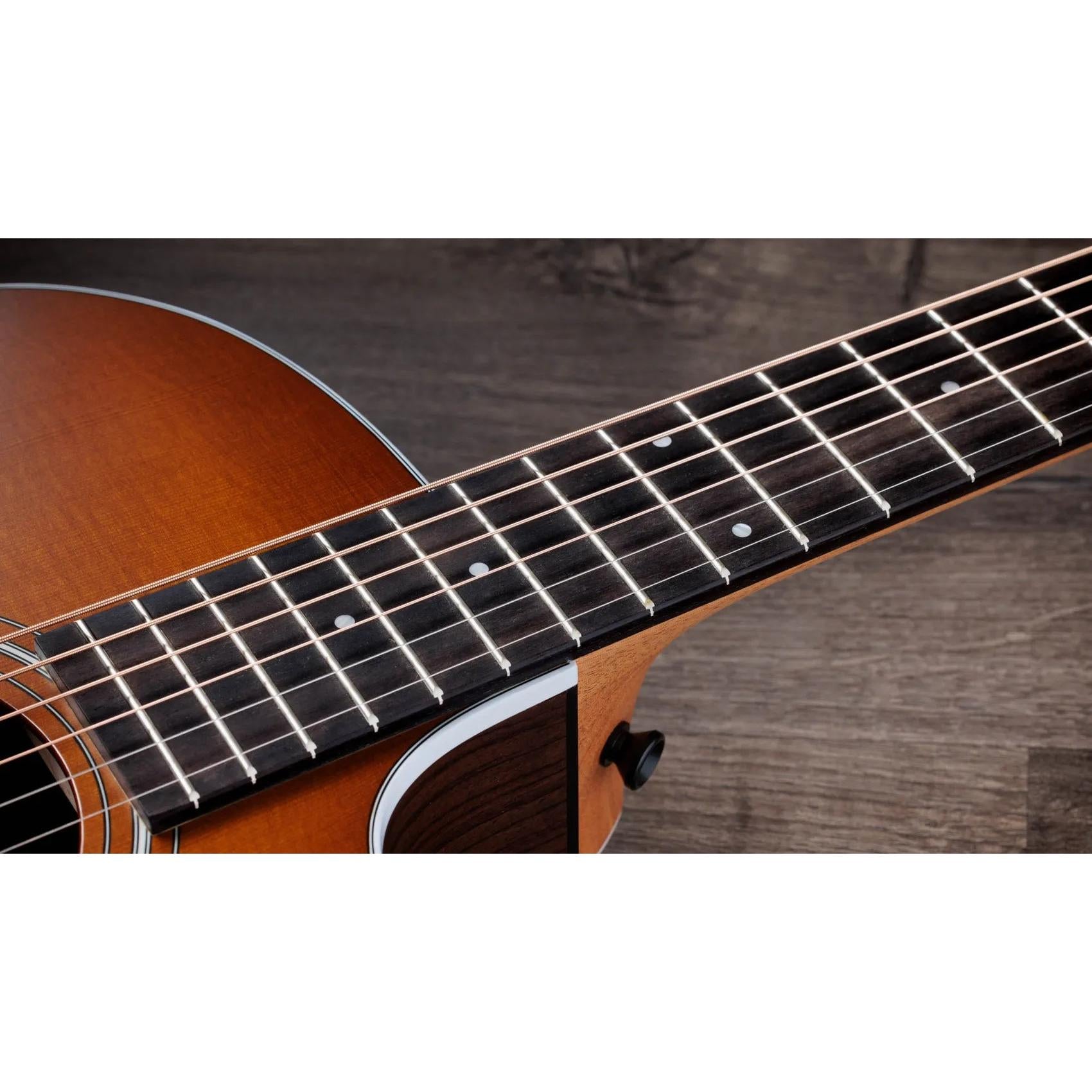 Đàn Guitar Acoustic Taylor 214ce Special Edition - Honeyburst-Mai Nguyên Music