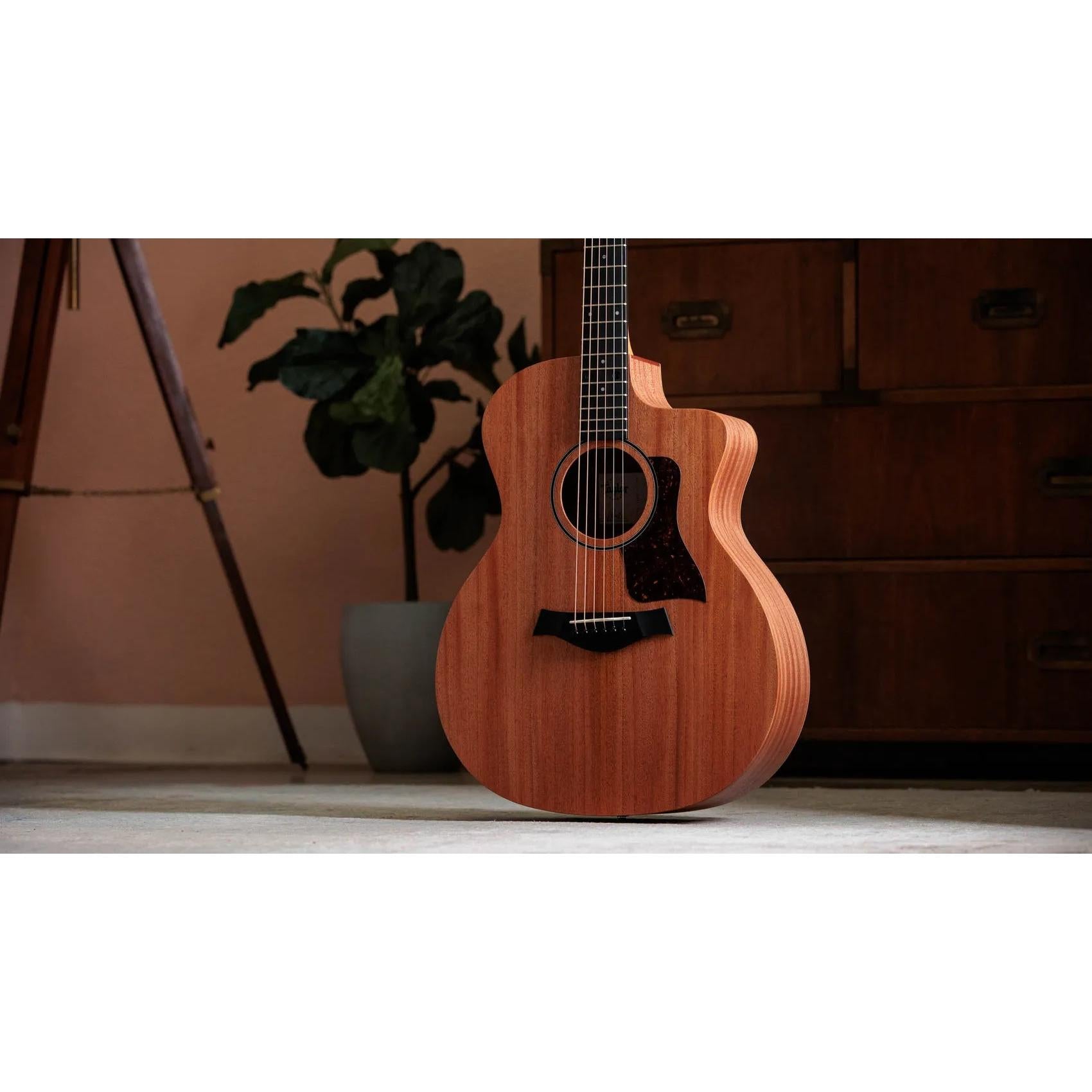 Đàn Guitar Acoustic Taylor 24ce - Natural-Mai Nguyên Music