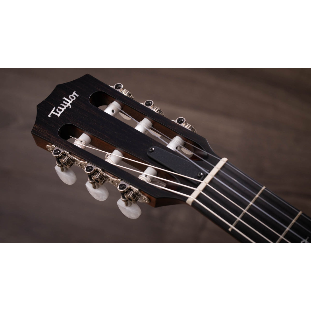 Đàn Guitar Acoustic Taylor 314ce-N w/Case-Mai Nguyên Music