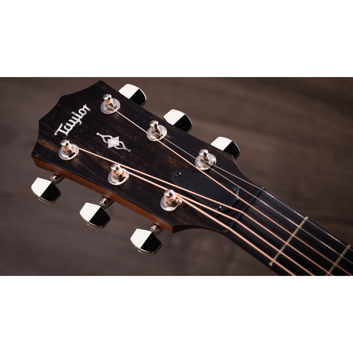 Đàn Guitar Acoustic Taylor 317e w/Case-Mai Nguyên Music