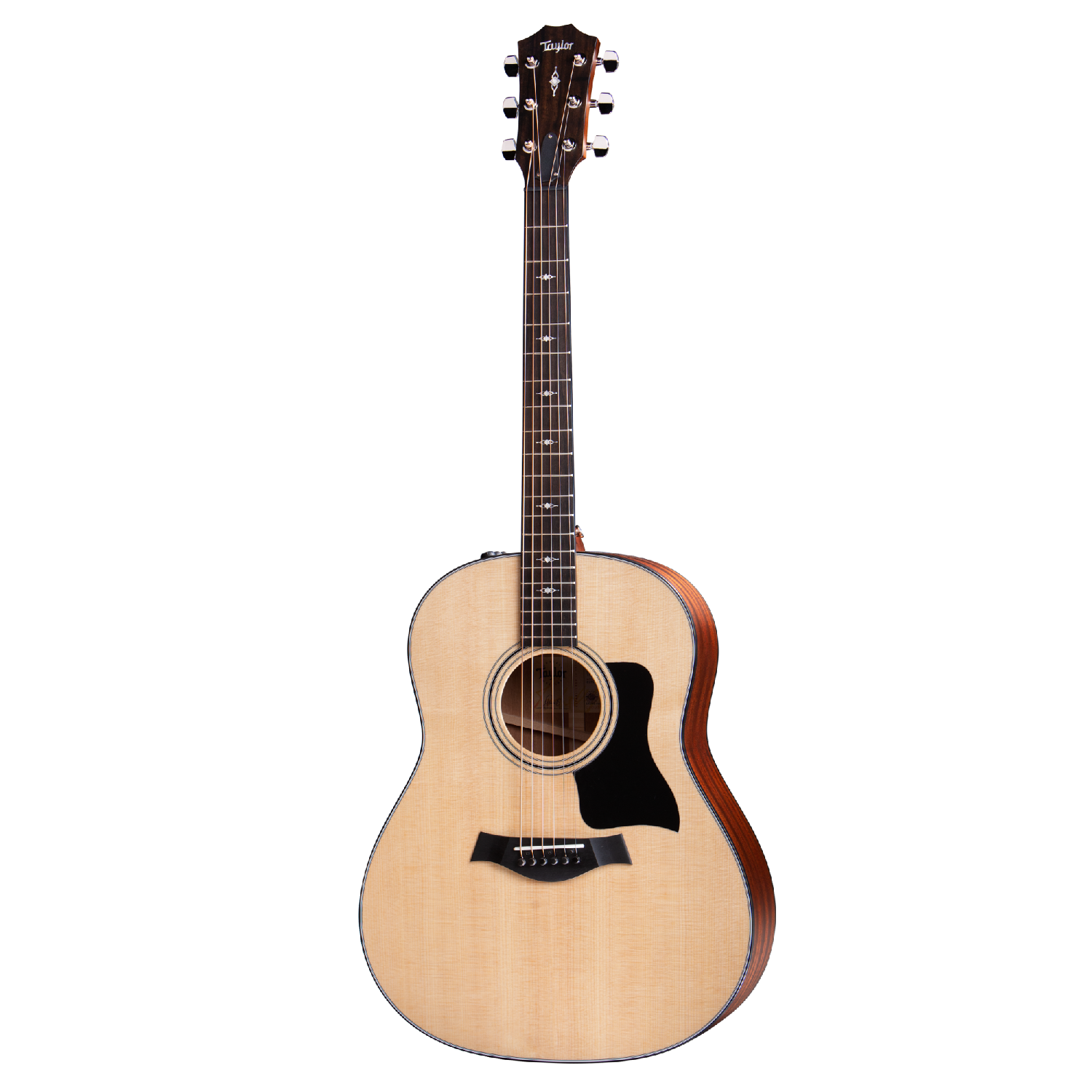 Đàn Guitar Acoustic Taylor 317e w/Case-Mai Nguyên Music