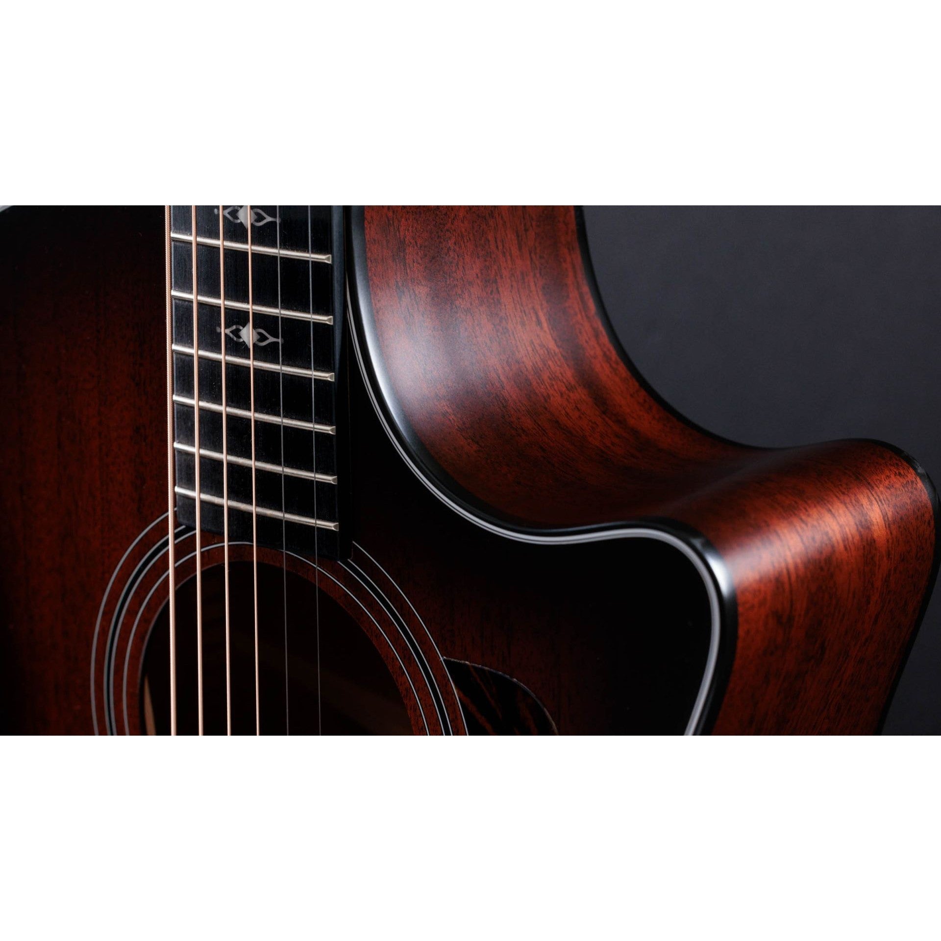 Đàn Guitar Acoustic Taylor 324ce Tropical Mahogany-Mai Nguyên Music