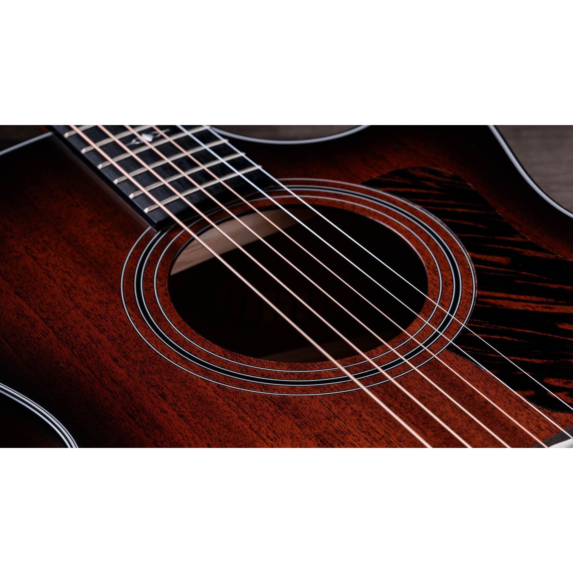 Đàn Guitar Acoustic Taylor 324ce Tropical Mahogany-Mai Nguyên Music