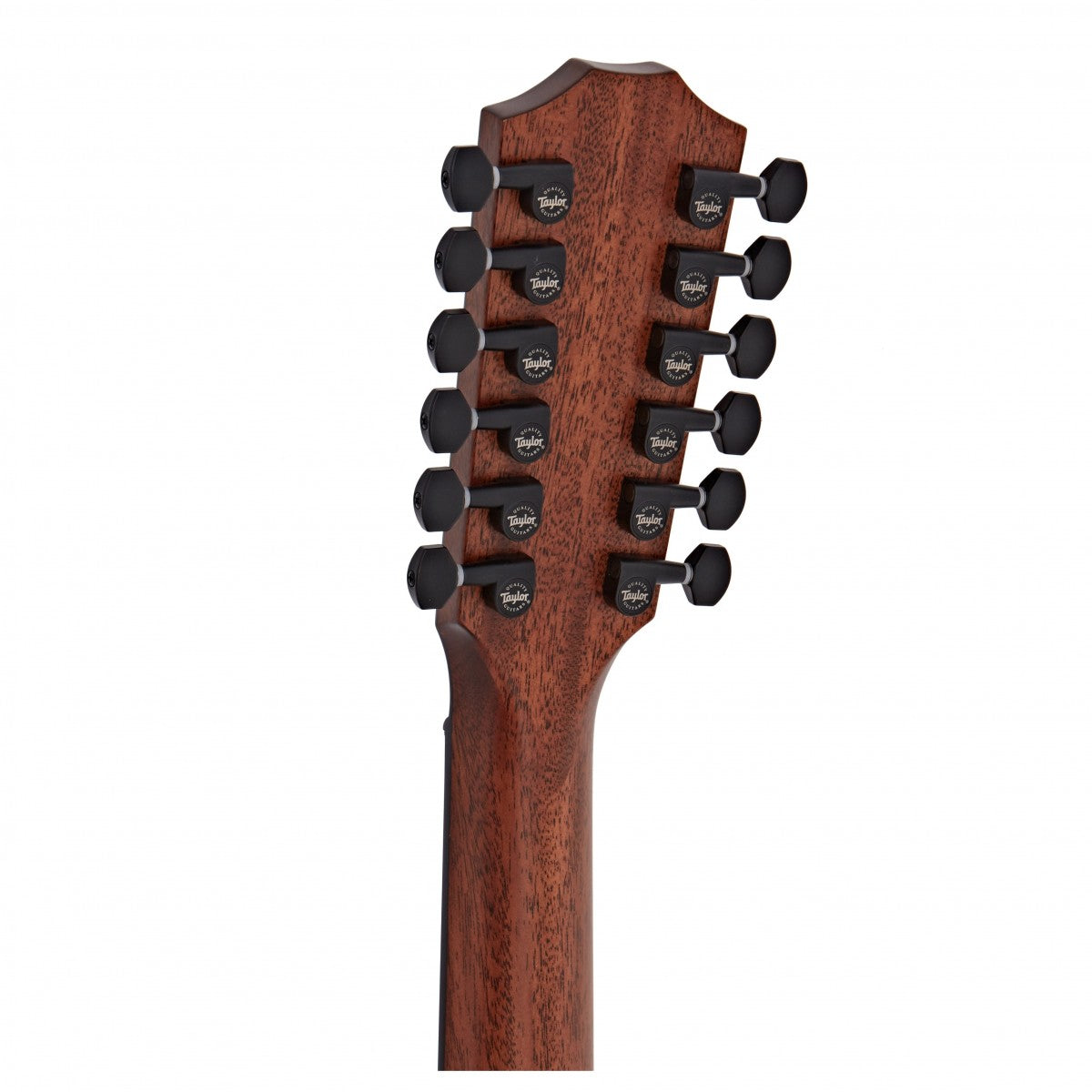 Đàn Guitar Acoustic Taylor 362ce w/Case-Mai Nguyên Music