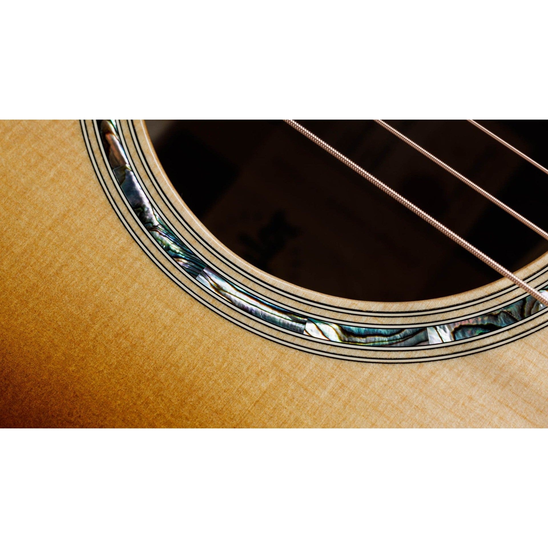 Đàn Guitar Acoustic Taylor 414ce Special Edition-Mai Nguyên Music