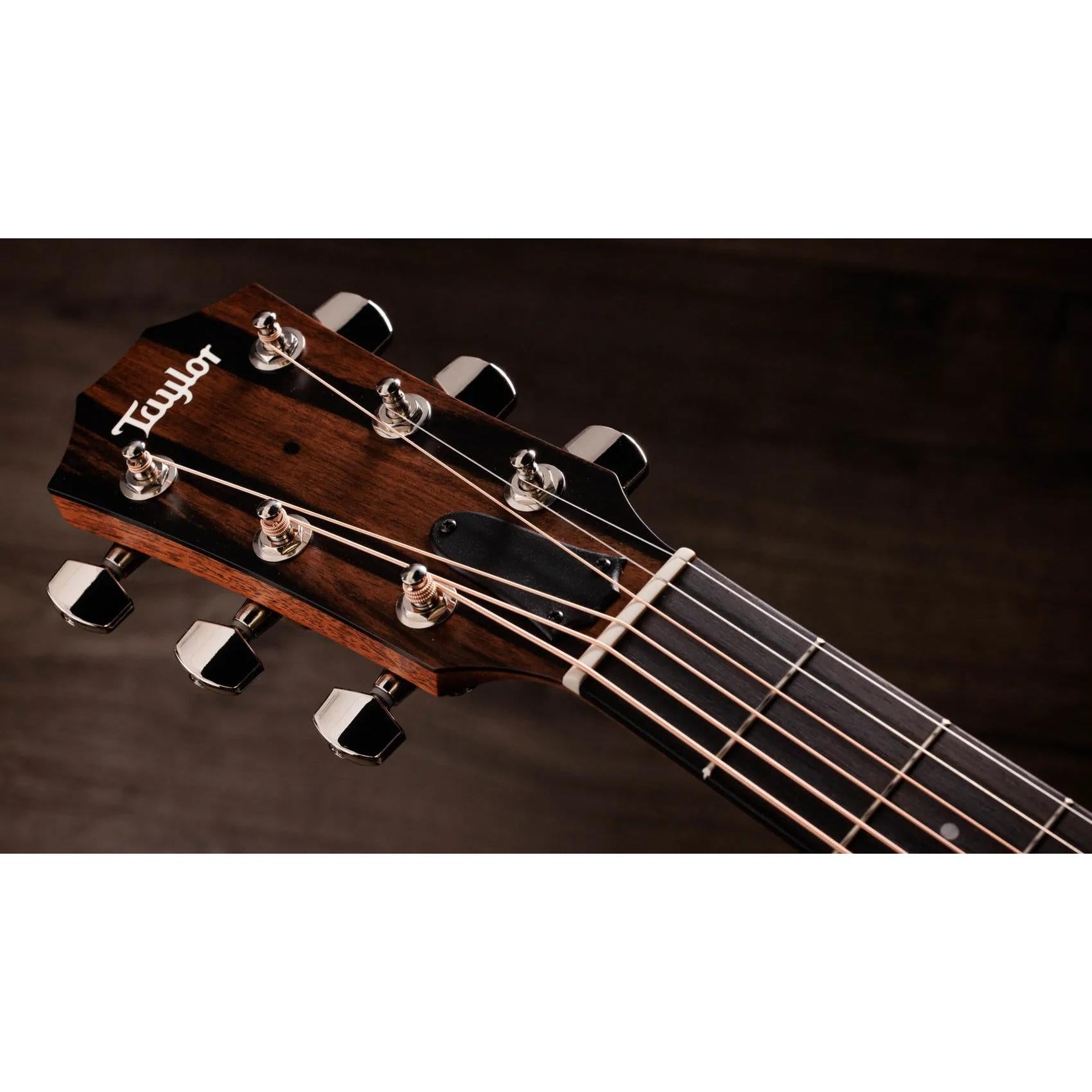 Đàn Guitar Acoustic Taylor 414ce Studio-Mai Nguyên Music