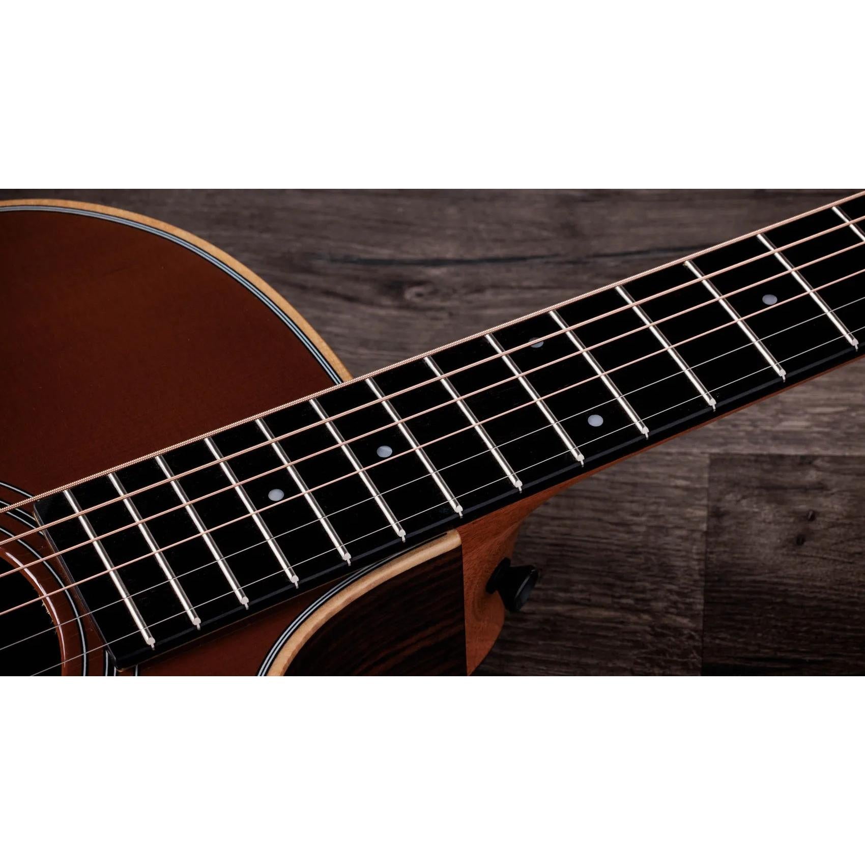 Đàn Guitar Acoustic Taylor 414ce Studio Special Edition - Honeyburst-Mai Nguyên Music