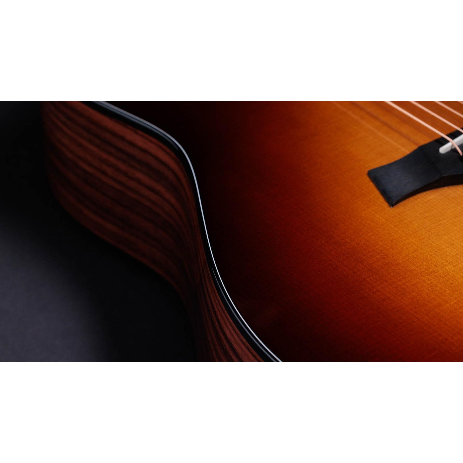Đàn Guitar Acoustic Taylor 50th Anniversary 217e-SB Plus LTD-Mai Nguyên Music