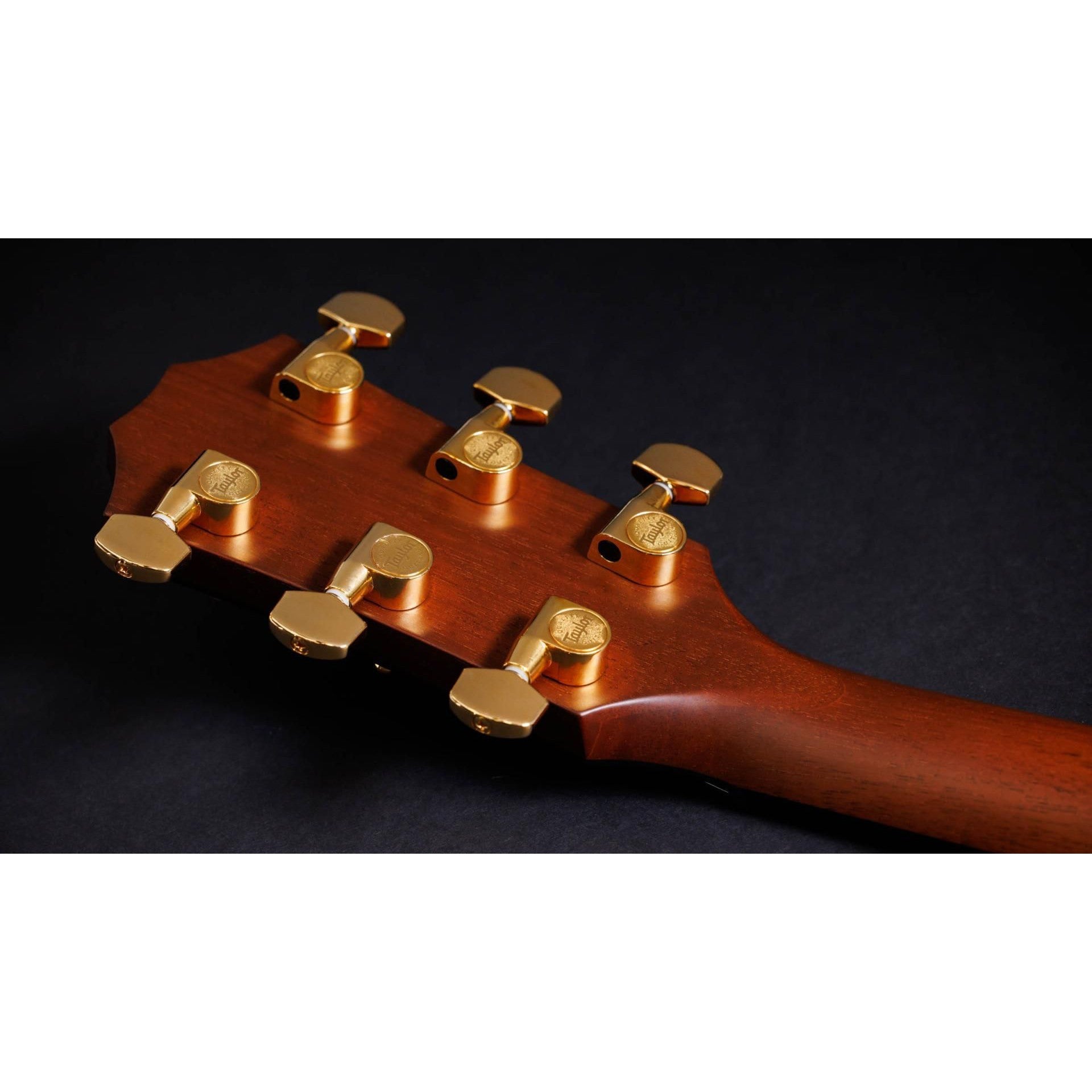 Đàn Guitar Acoustic Taylor 50th Anniversary 314ce LTD w/Hardshell Case-Mai Nguyên Music