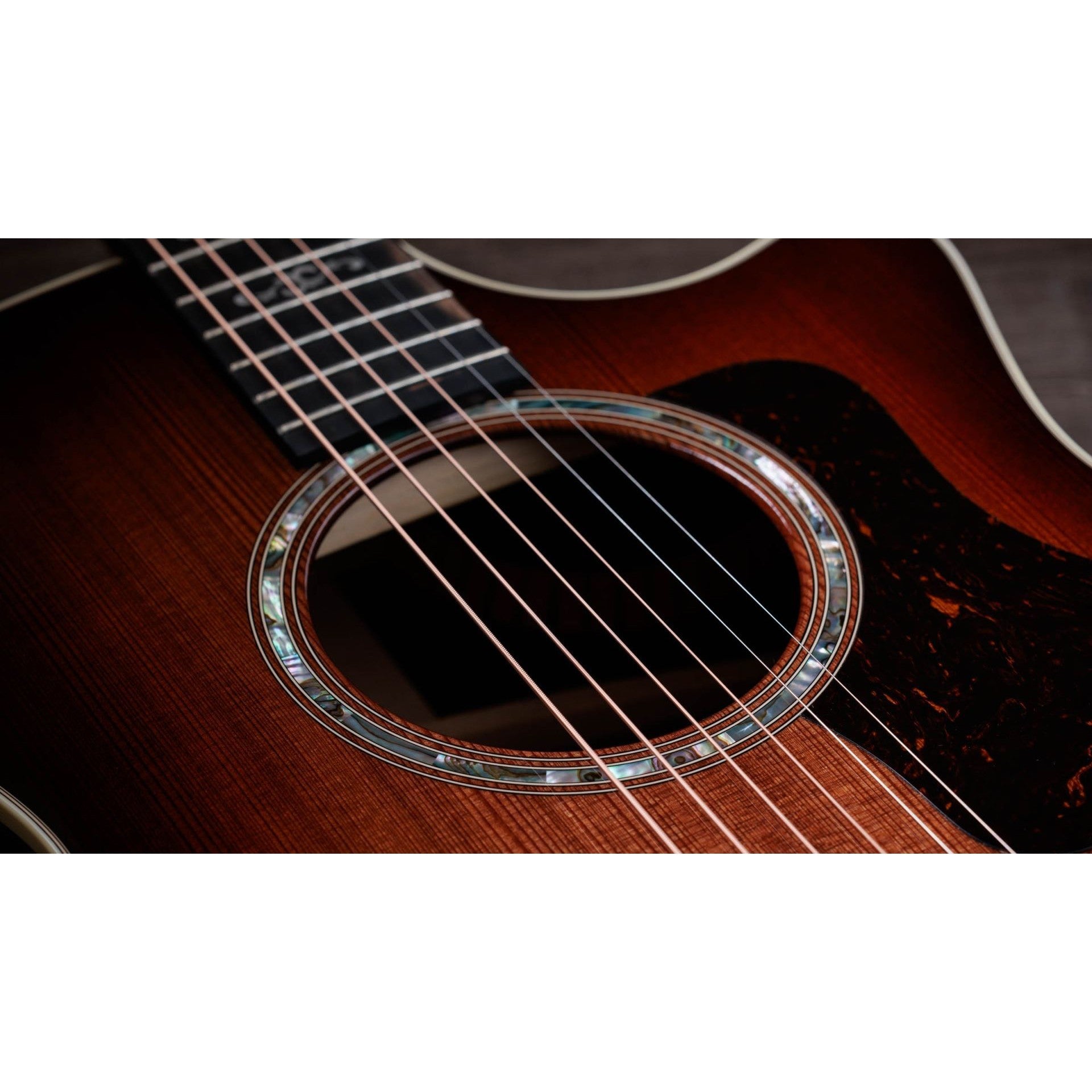 Đàn Guitar Acoustic Taylor 50th Anniversary 414ce Special Edition-Mai Nguyên Music