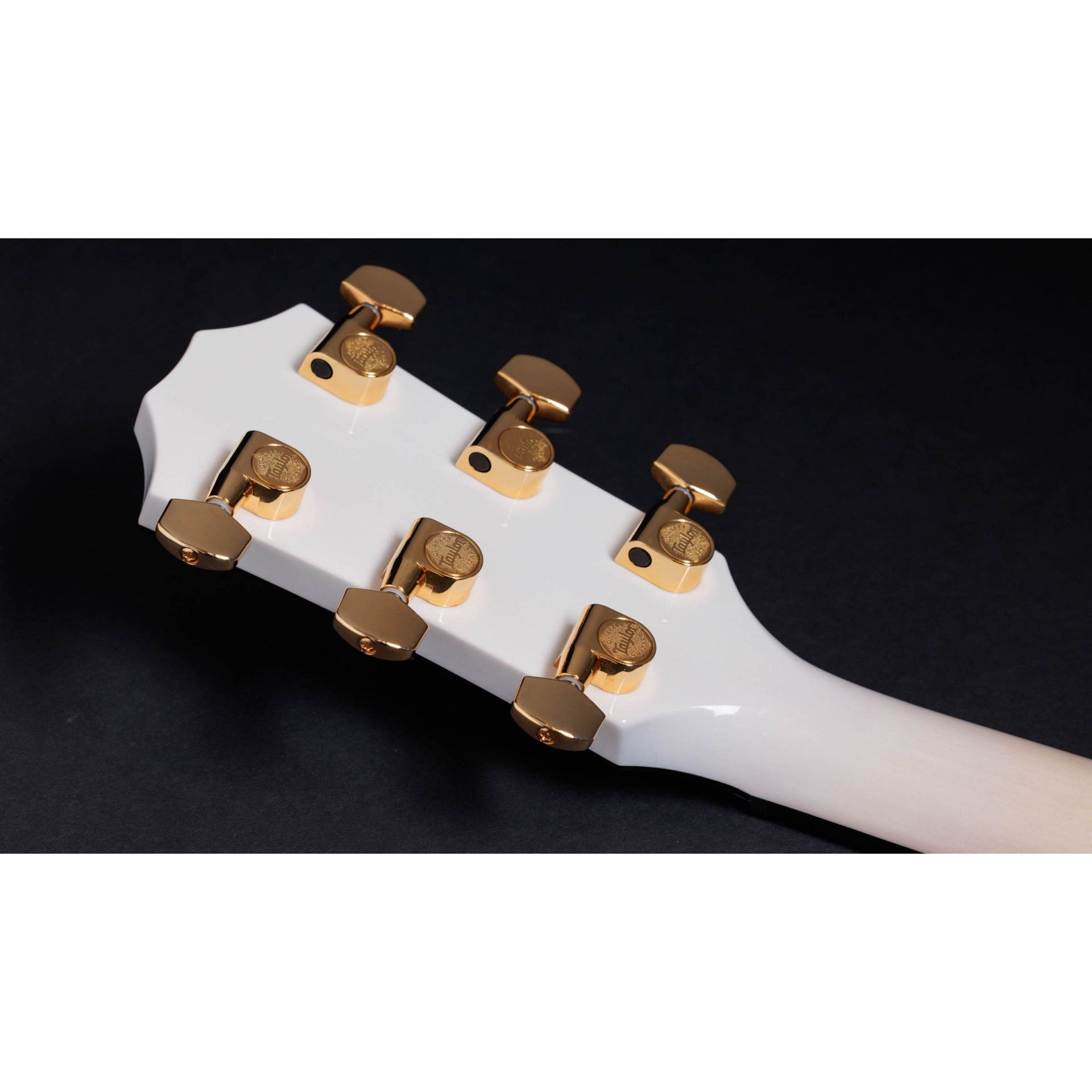 Đàn Guitar Acoustic Taylor 50th Anniversary 614ce LTD-Mai Nguyên Music