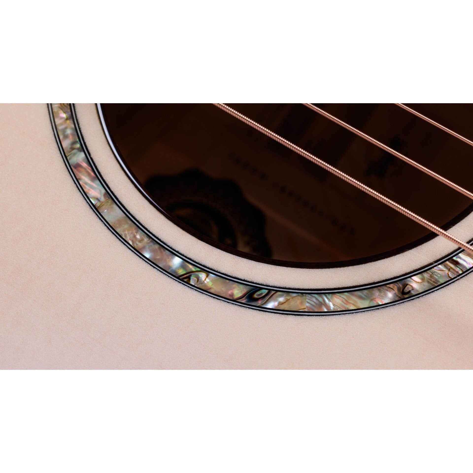 Đàn Guitar Acoustic Taylor 50th Anniversary 614ce LTD-Mai Nguyên Music