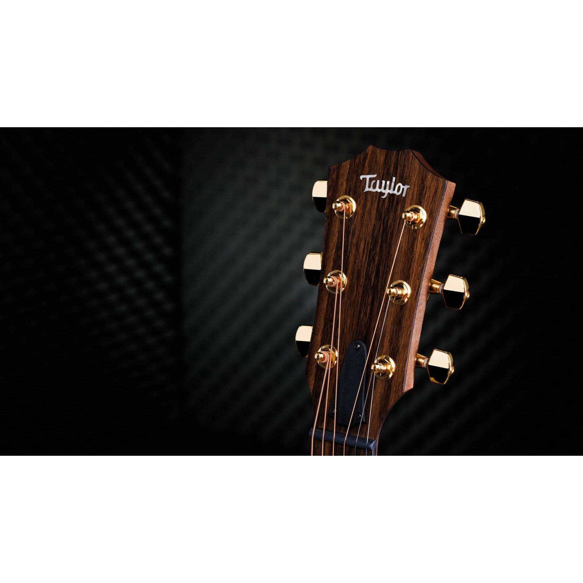 Đàn Guitar Acoustic Taylor 50th Anniversary AD14ce-SB LTD-Mai Nguyên Music