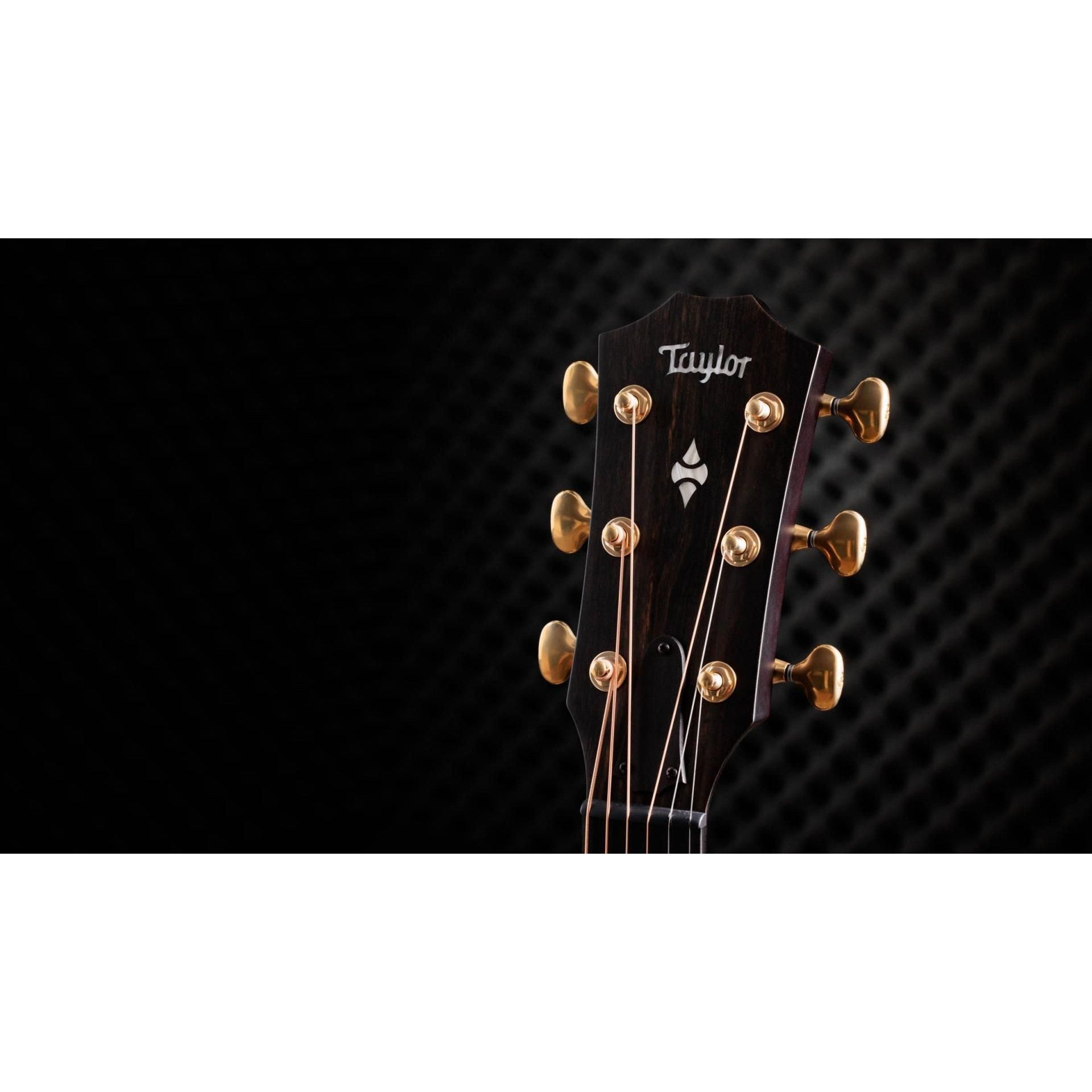 Đàn Guitar Acoustic Taylor 50th Anniversary Builder's Edition 314ce LTD-Mai Nguyên Music
