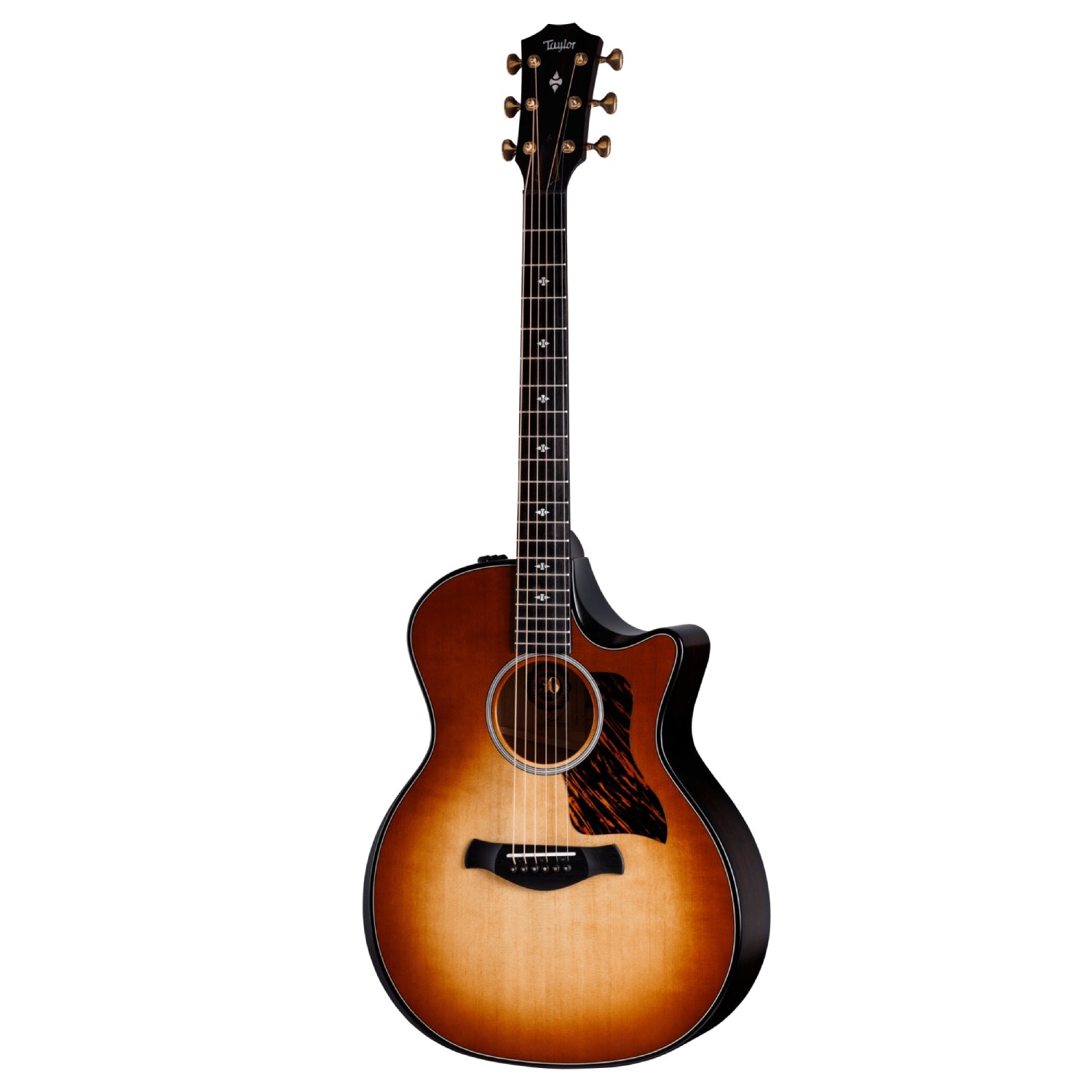 Đàn Guitar Acoustic Taylor 50th Anniversary Builder's Edition 314ce LTD-Mai Nguyên Music