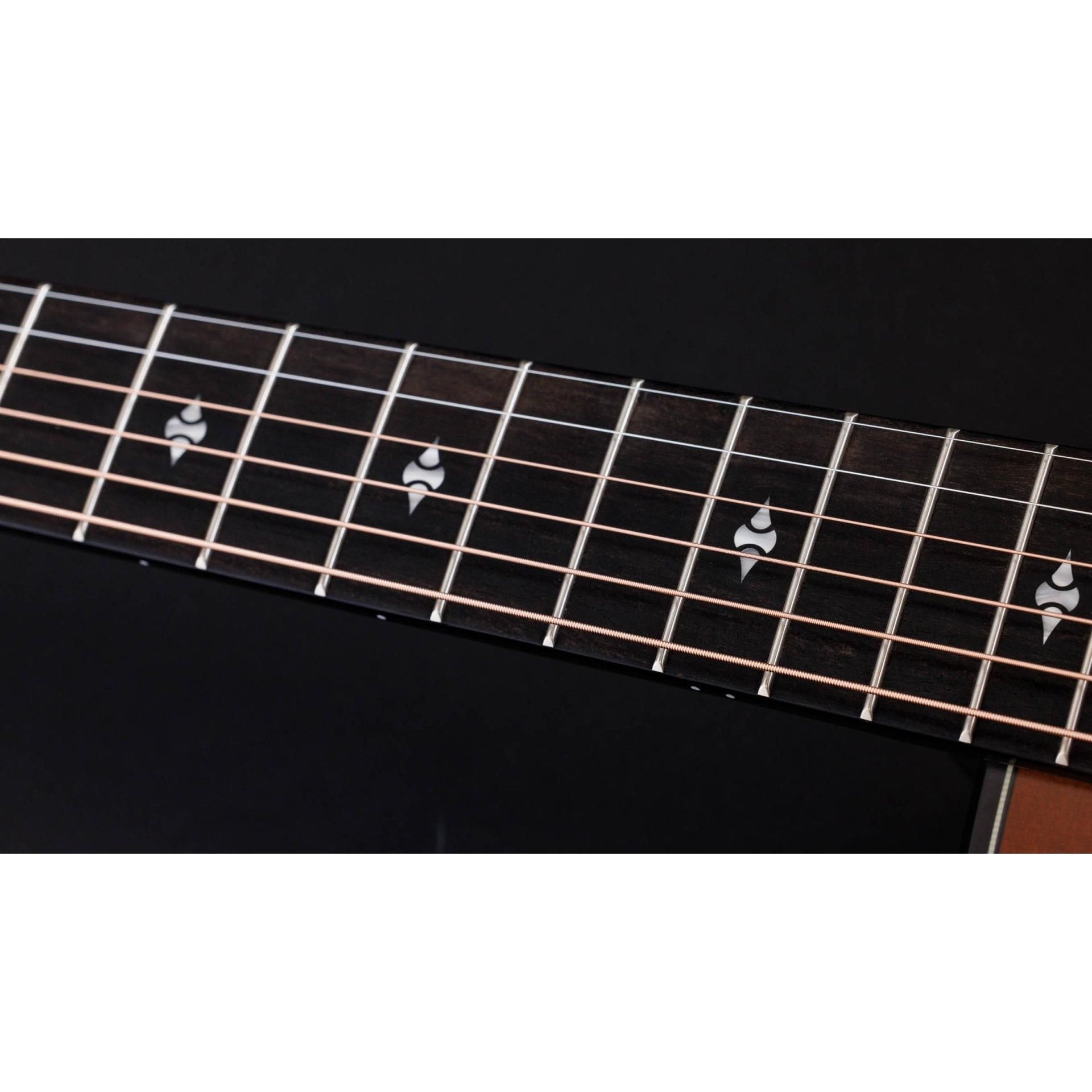 Đàn Guitar Acoustic Taylor 50th Anniversary Builder's Edition 314ce LTD-Mai Nguyên Music