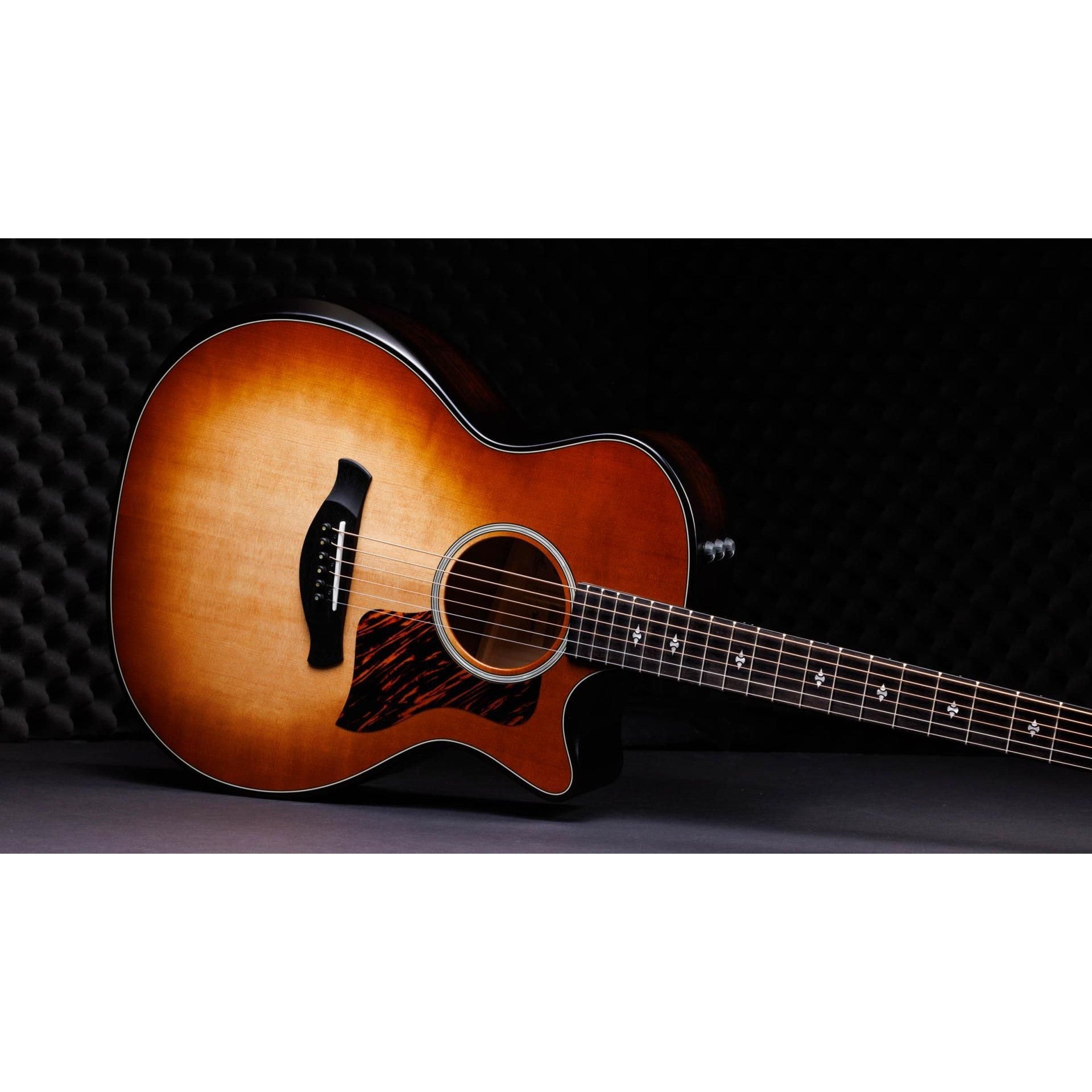 Đàn Guitar Acoustic Taylor 50th Anniversary Builder's Edition 314ce LTD-Mai Nguyên Music