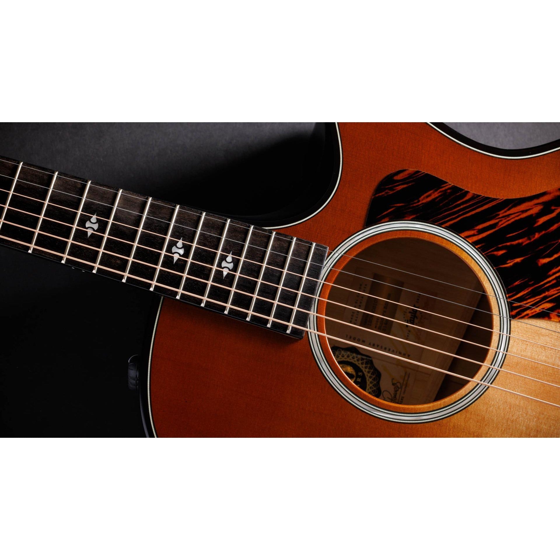 Đàn Guitar Acoustic Taylor 50th Anniversary Builder's Edition 314ce LTD-Mai Nguyên Music