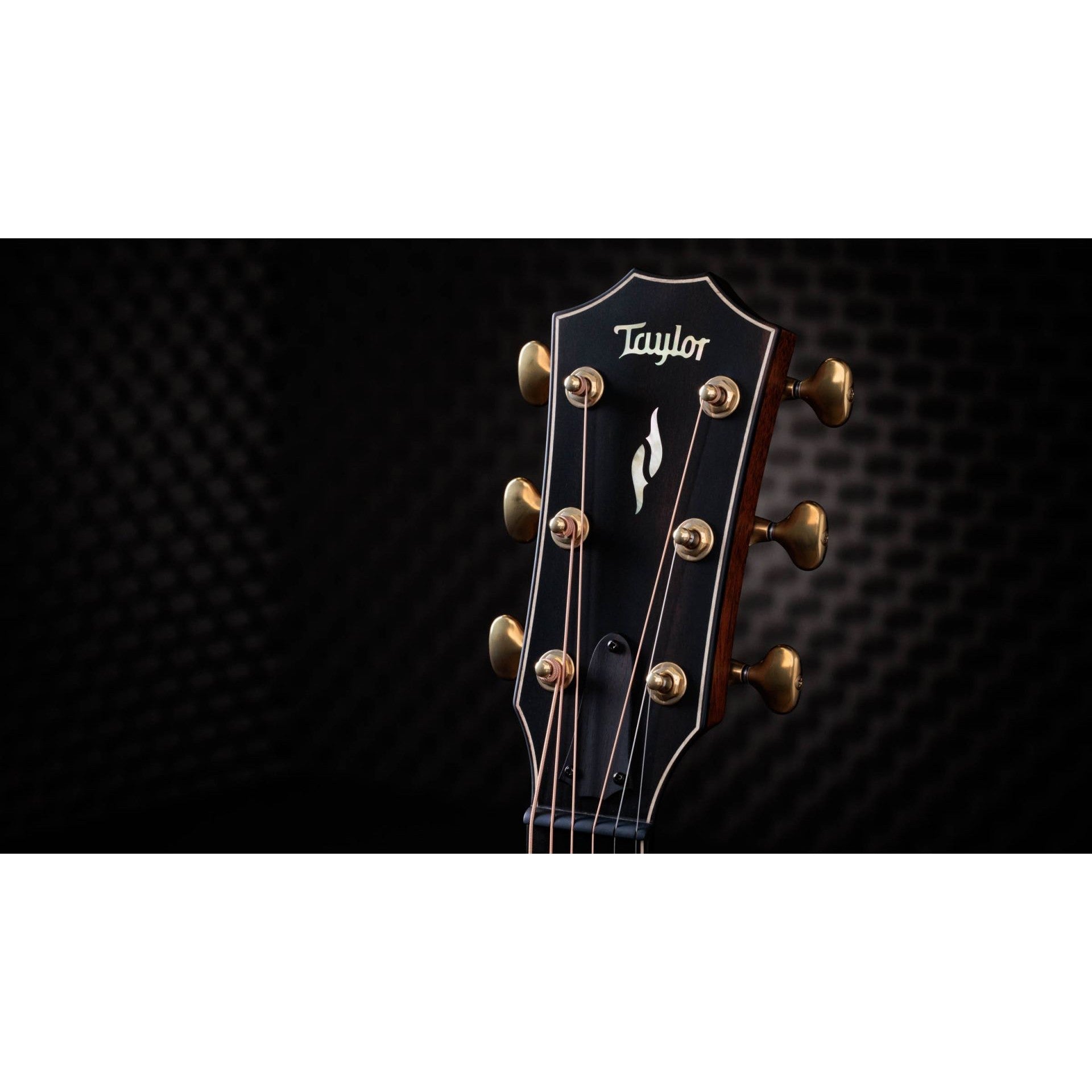 Đàn Guitar Acoustic Taylor 50th Anniversary Builder's Edition 812ce LTD-Mai Nguyên Music