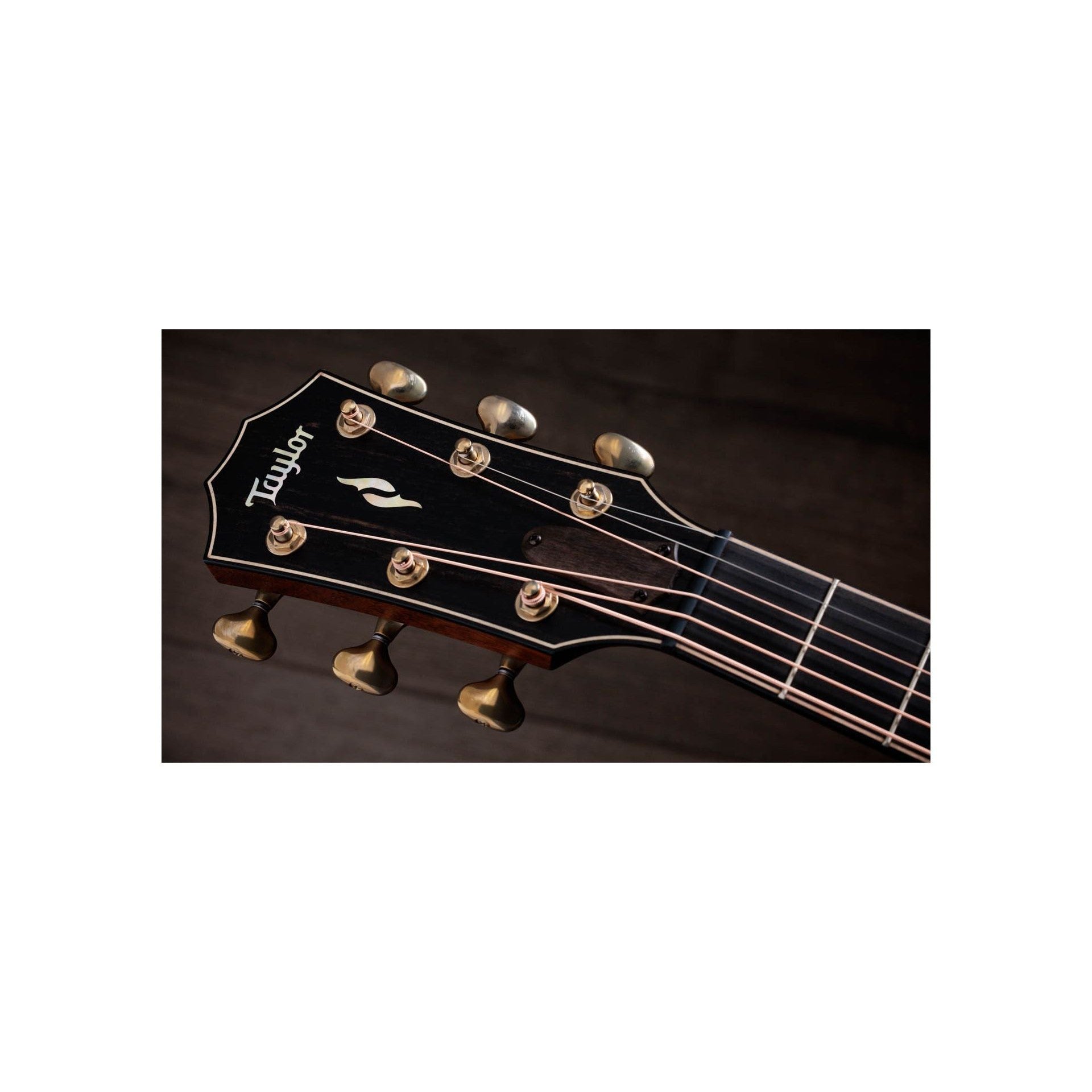 Đàn Guitar Acoustic Taylor 50th Anniversary Builder’s Edition 814ce LTD Shaded Edge Burst Top-Mai Nguyên Music