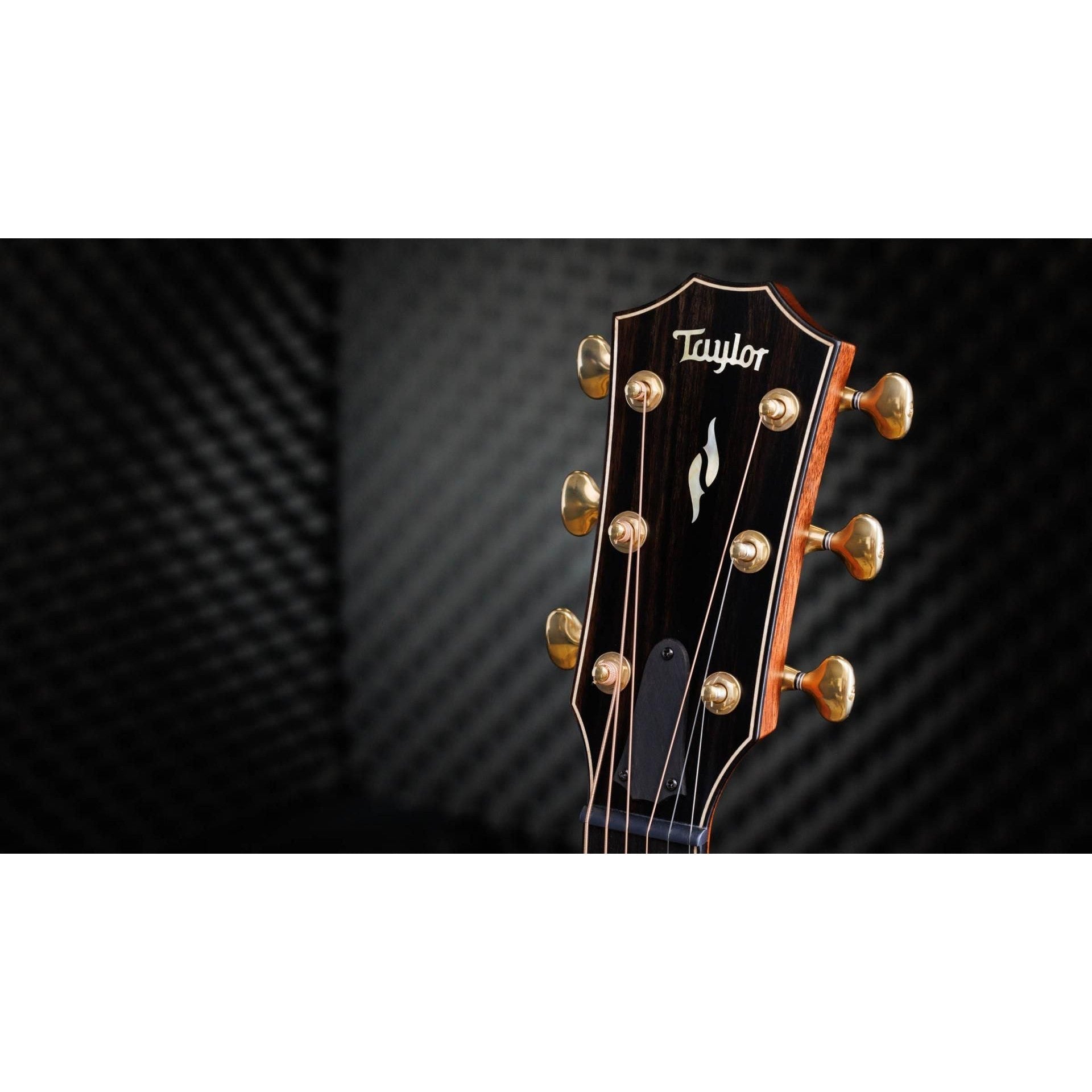 Đàn Guitar Acoustic Taylor 50th Anniversary Builder's Edition 814ce LTD w/Hardshell Case-Mai Nguyên Music