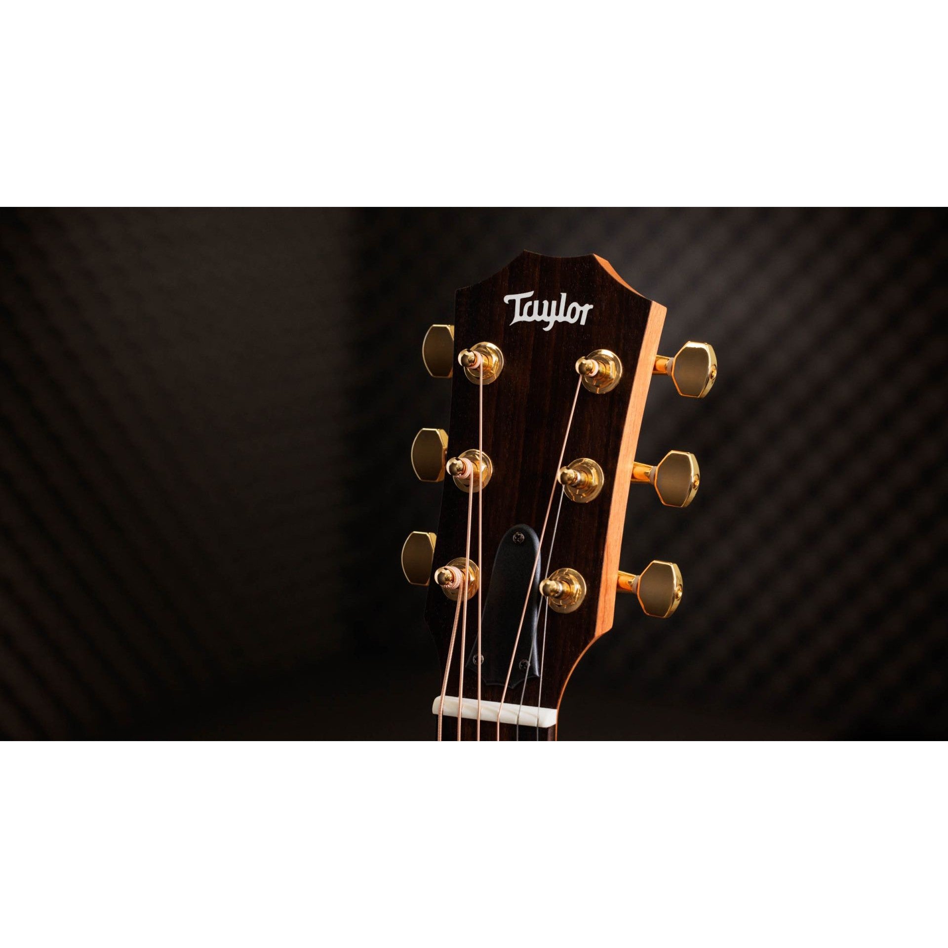 Đàn Guitar Acoustic Taylor 50th Anniversary GS Mini-e Rosewood LTD-Mai Nguyên Music