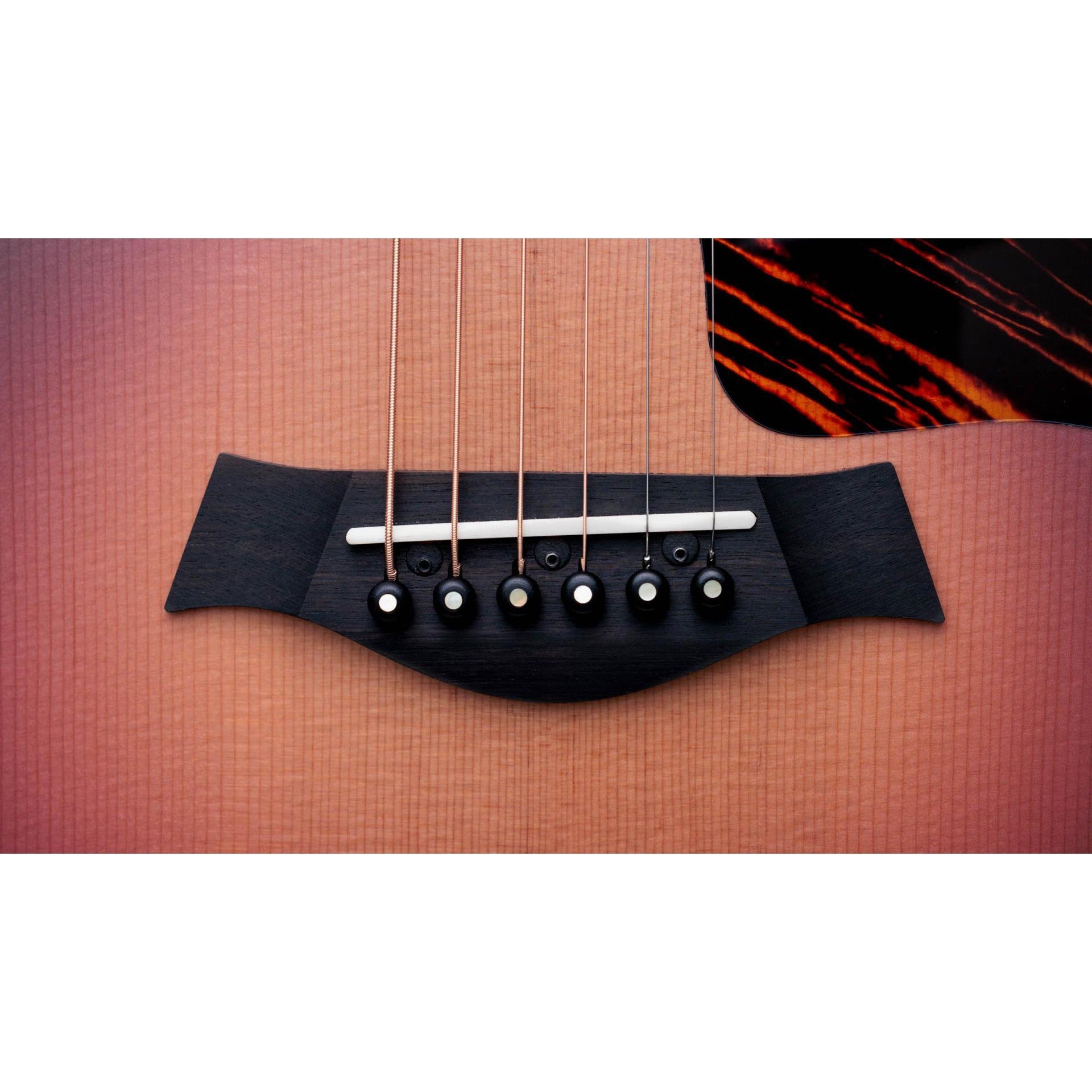 Đàn Guitar Acoustic Taylor 50th Anniversary GS Mini-e Rosewood SB LTD-Mai Nguyên Music