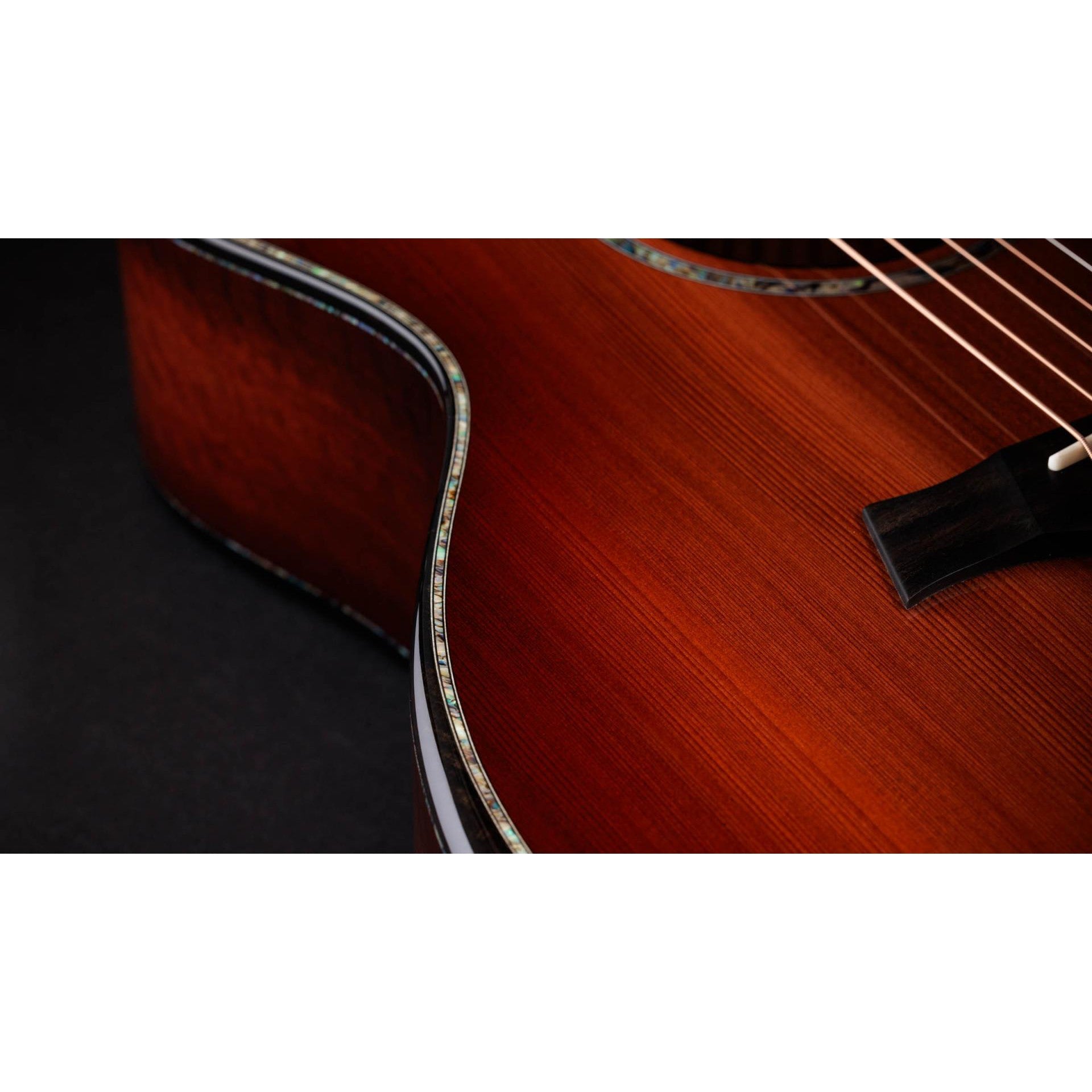 Đàn Guitar Acoustic Taylor 50th Anniversary PS14ce LTD-Mai Nguyên Music