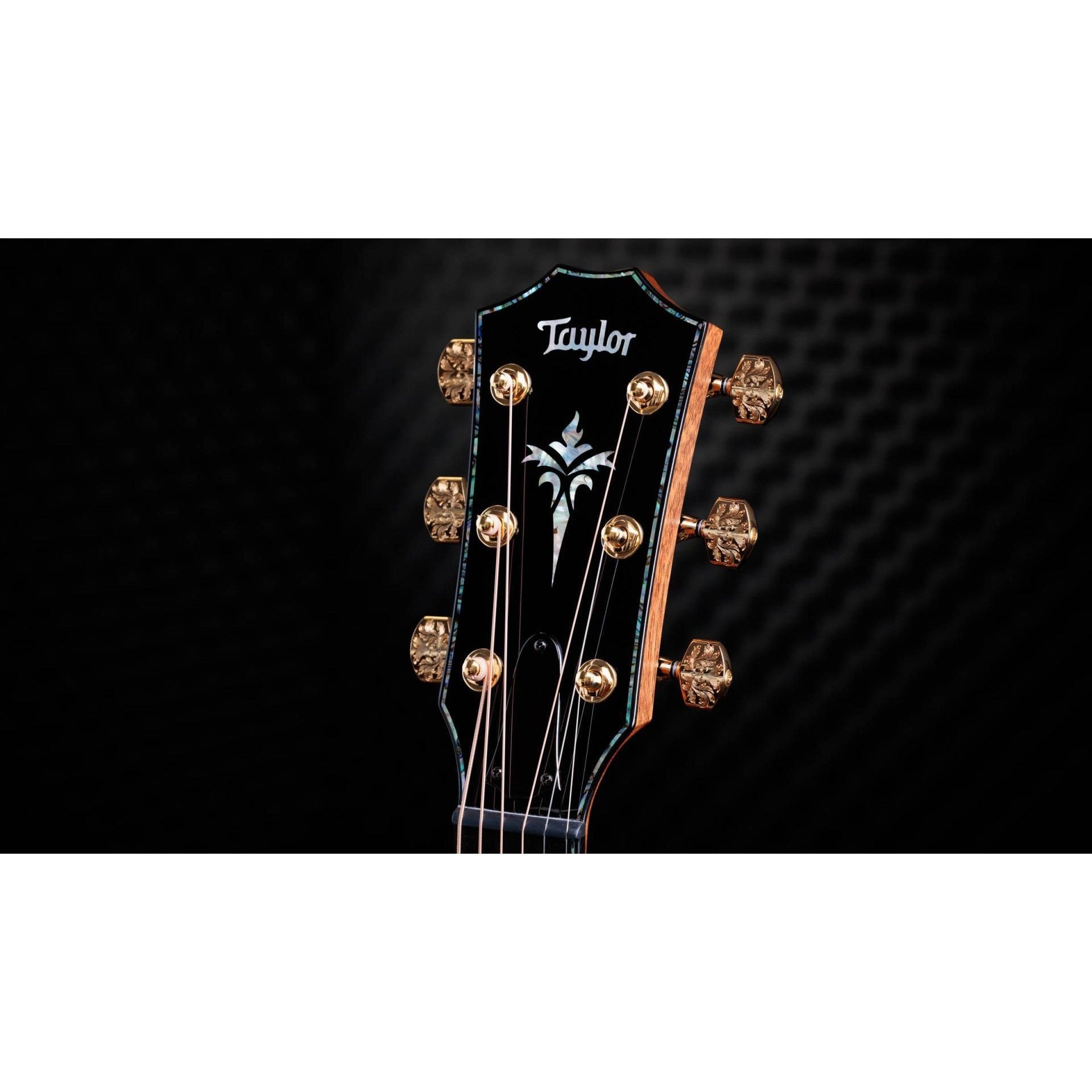 Đàn Guitar Acoustic Taylor 50th Anniversary PS24ce LTD & Circa 74 Amp-Mai Nguyên Music