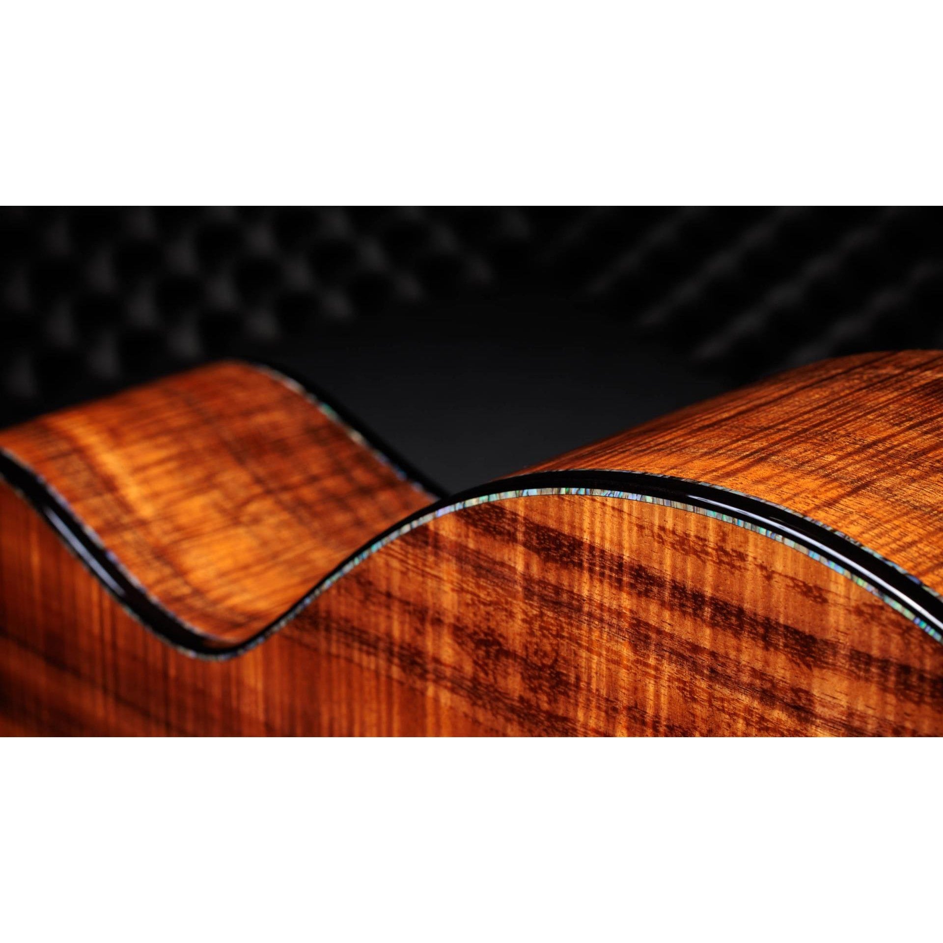 Đàn Guitar Acoustic Taylor 50th Anniversary PS24ce LTD & Circa 74 Amp-Mai Nguyên Music