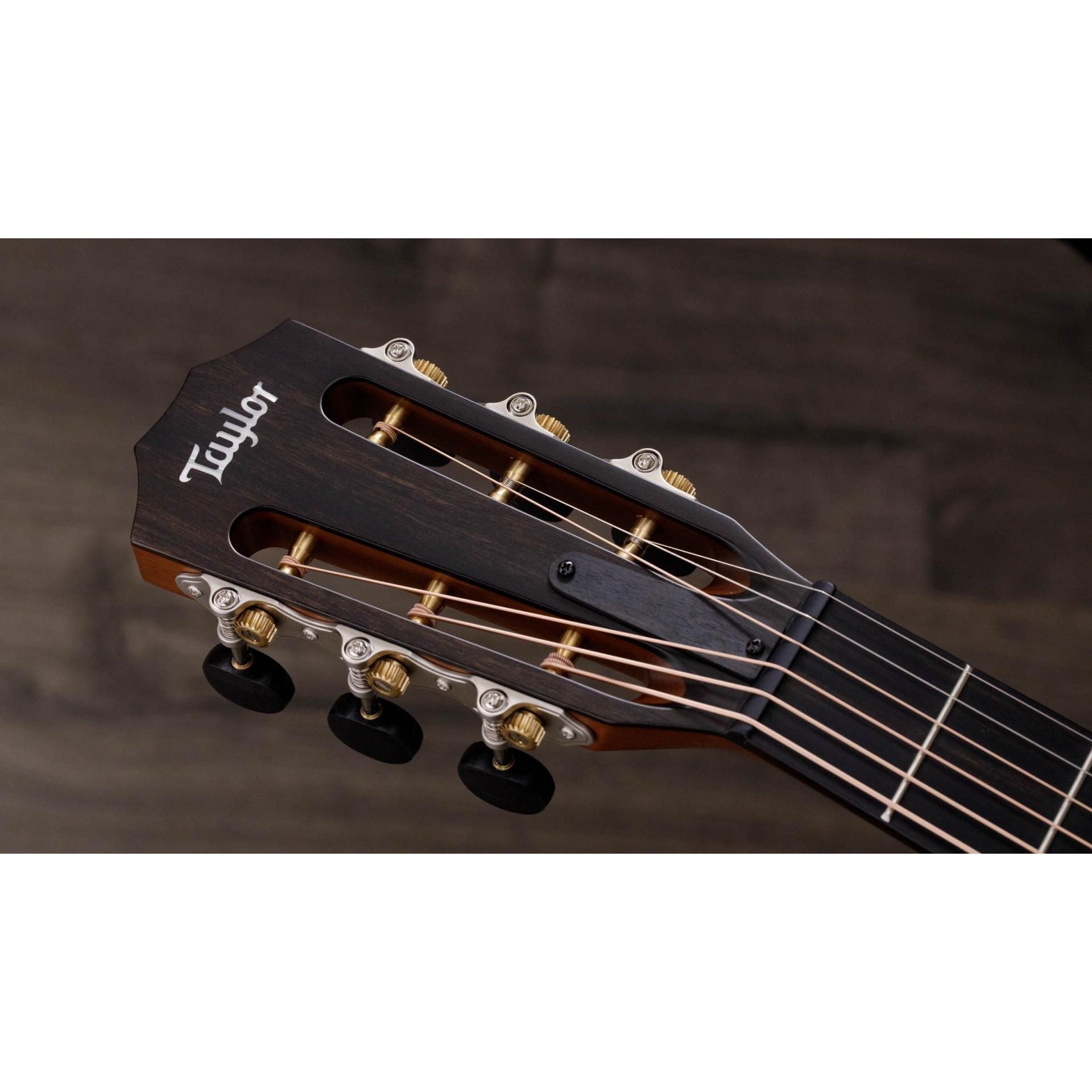 Đàn Guitar Acoustic Taylor 512ce 12-Fret Urban Ironbark-Mai Nguyên Music