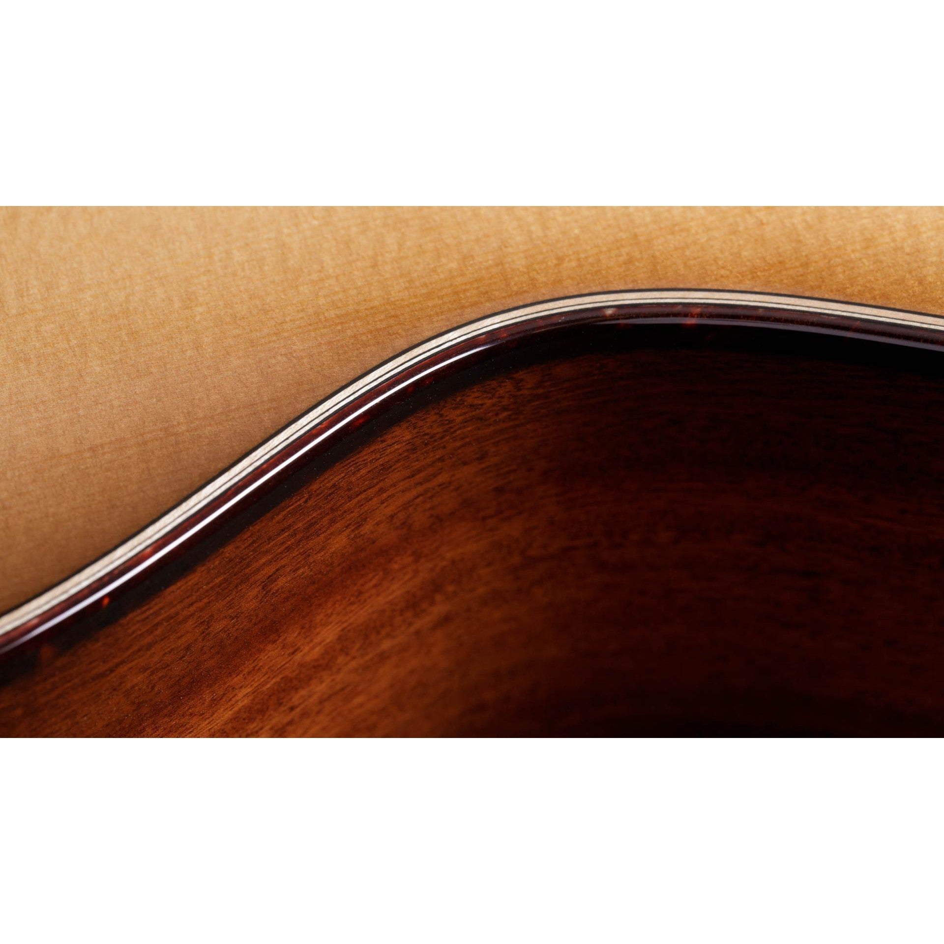 Đàn Guitar Acoustic Taylor 512ce 12-Fret Urban Ironbark-Mai Nguyên Music