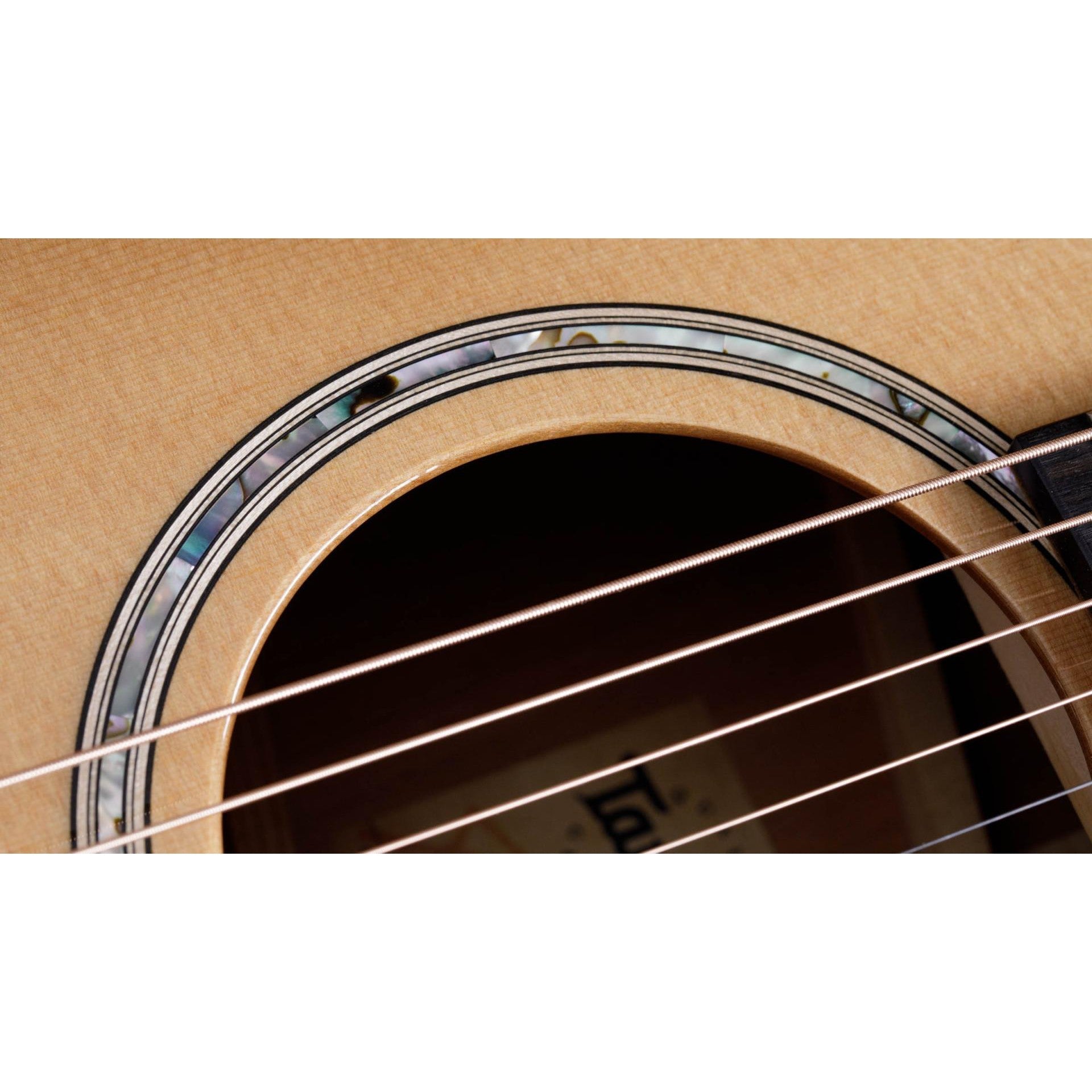 Đàn Guitar Acoustic Taylor 512ce 12-Fret Urban Ironbark-Mai Nguyên Music