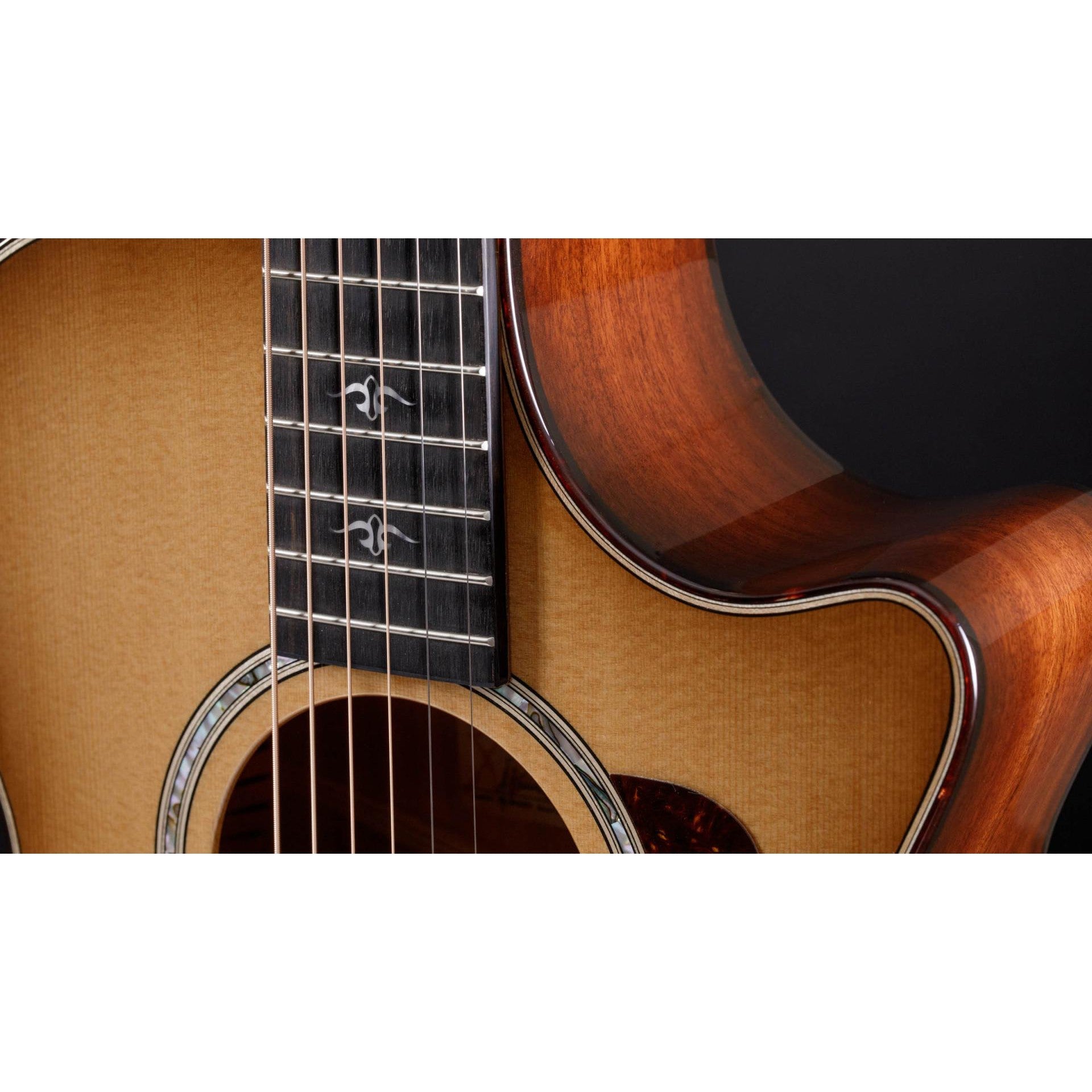 Đàn Guitar Acoustic Taylor 512ce 12-Fret Urban Ironbark-Mai Nguyên Music
