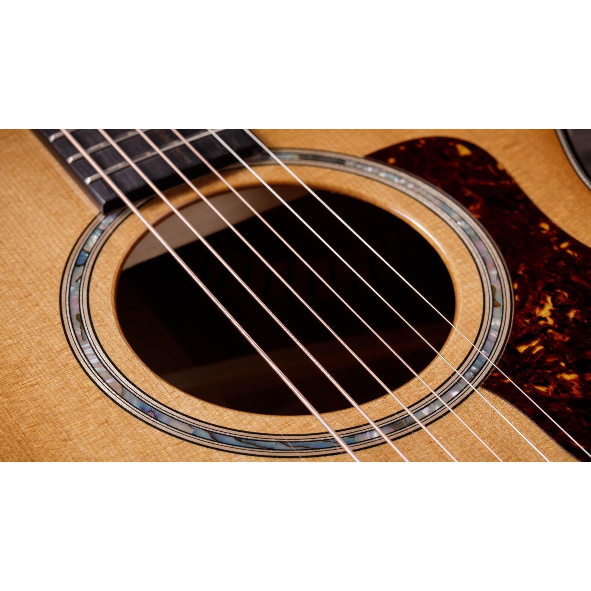 Đàn Guitar Acoustic Taylor 512ce w/Hardshell Case-Mai Nguyên Music