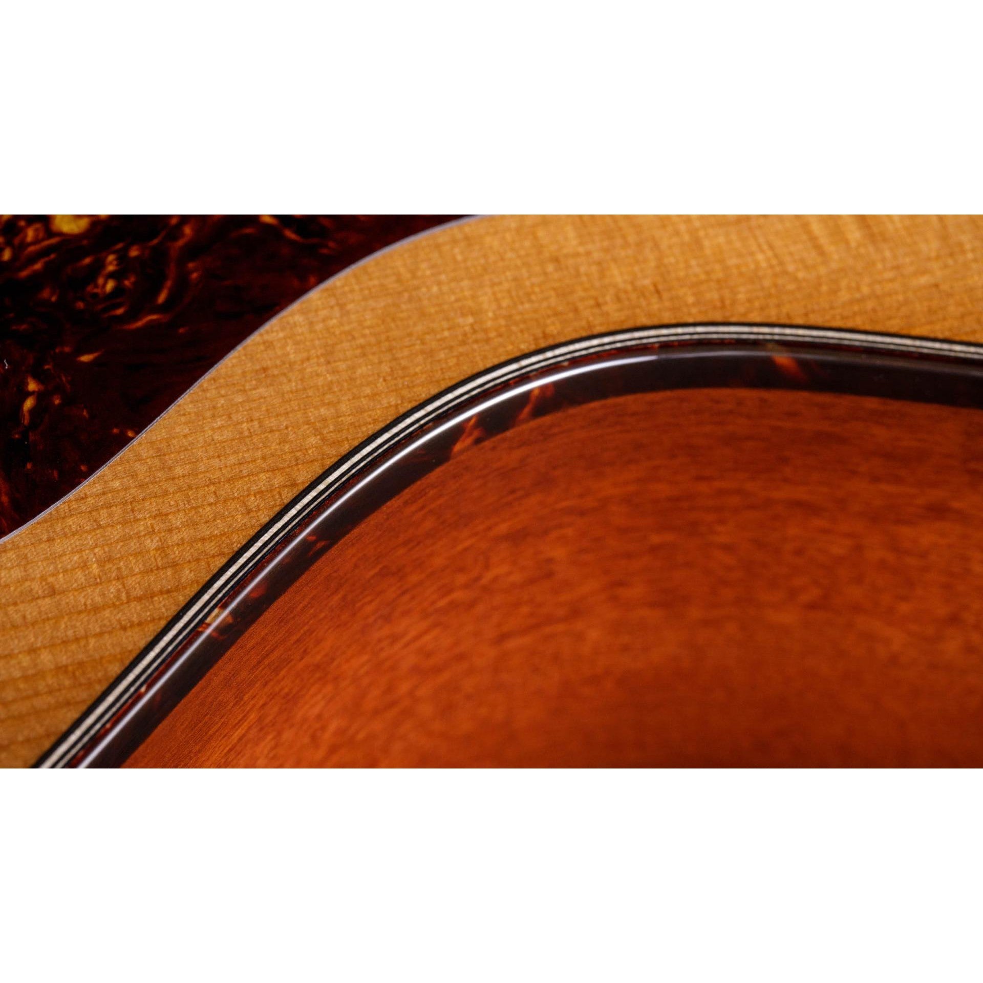 Đàn Guitar Acoustic Taylor 512ce w/Hardshell Case-Mai Nguyên Music