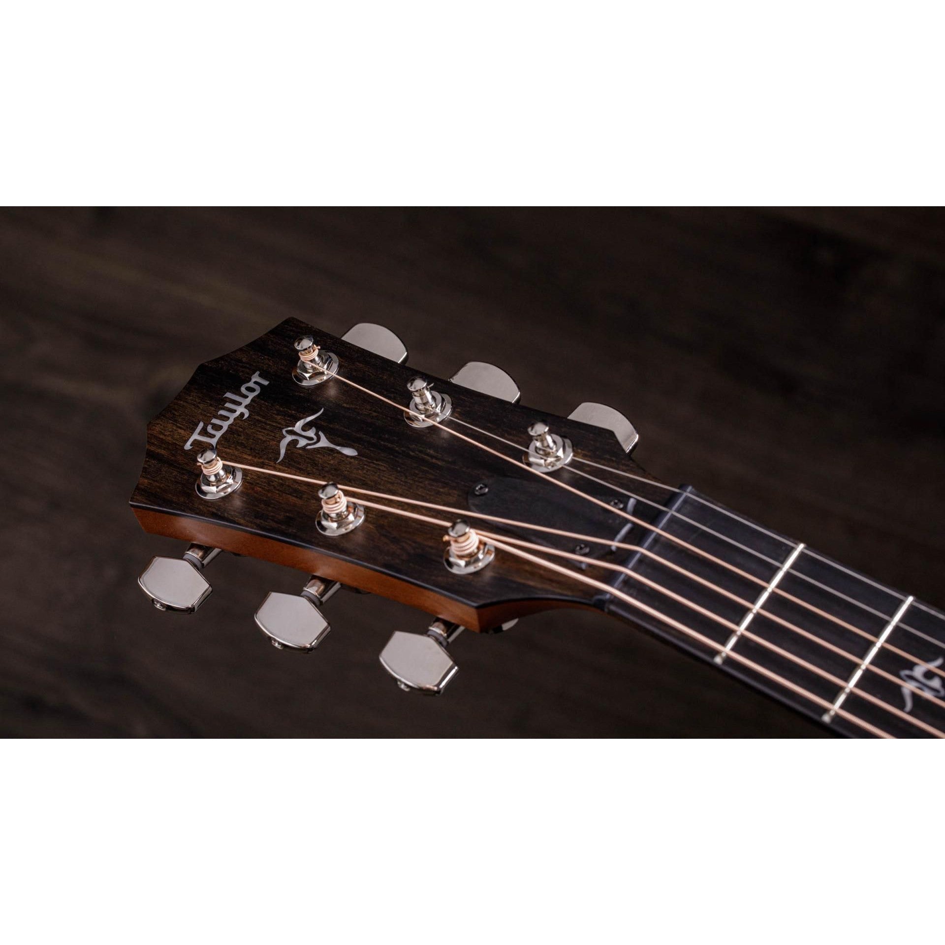 Đàn Guitar Acoustic Taylor 512ce w/Hardshell Case-Mai Nguyên Music