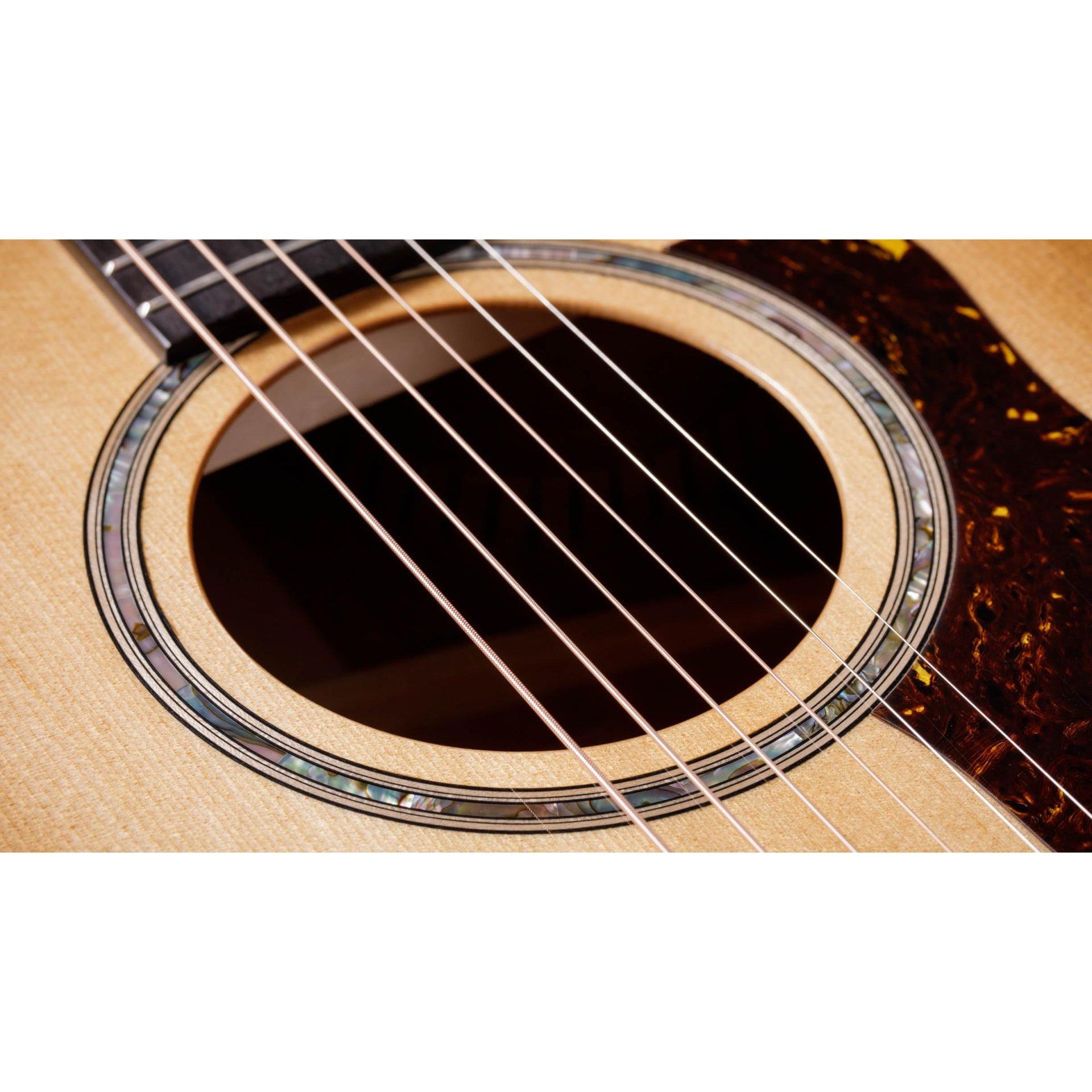 Đàn Guitar Acoustic Taylor 514ce w/Hardshell Case-Mai Nguyên Music
