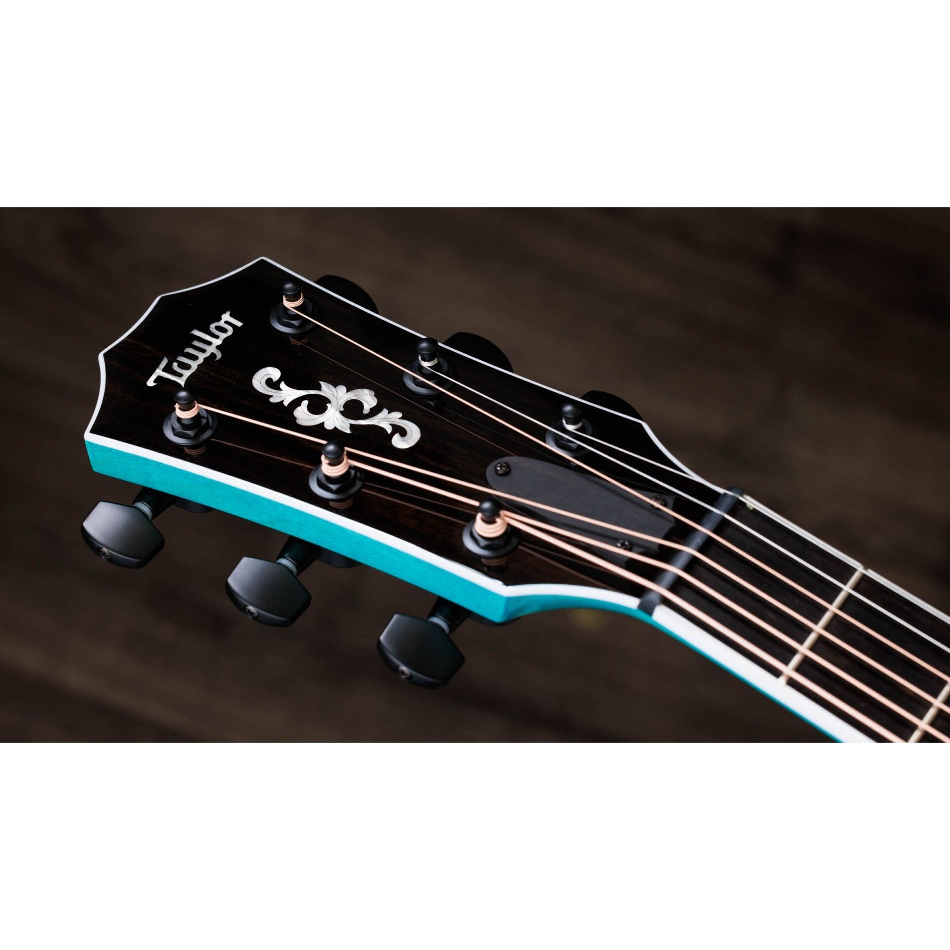 Đàn Guitar Acoustic Taylor 614ce LTD Big Leaf Maple-Mai Nguyên Music