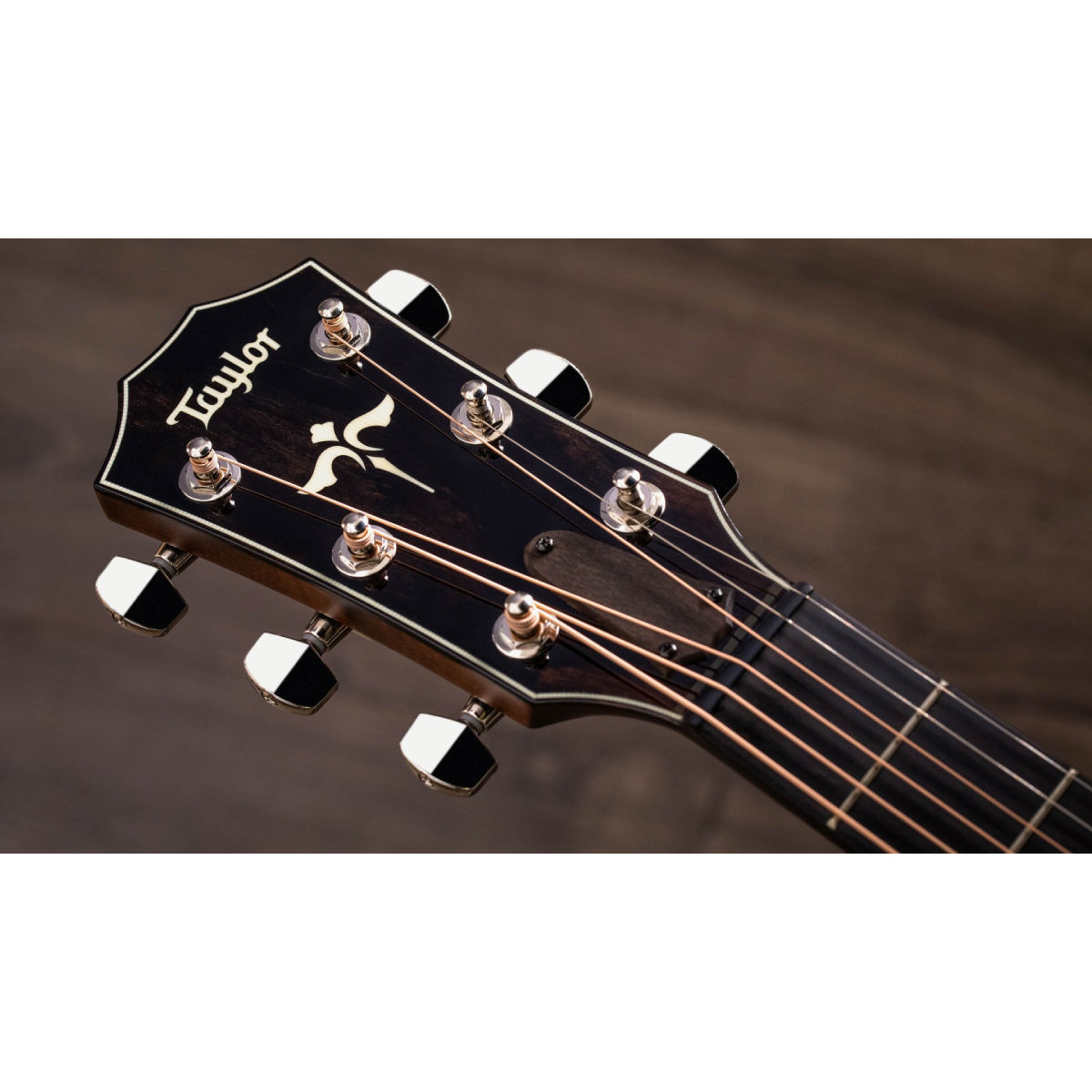 Đàn Guitar Acoustic Taylor 614ce w/Case-Mai Nguyên Music