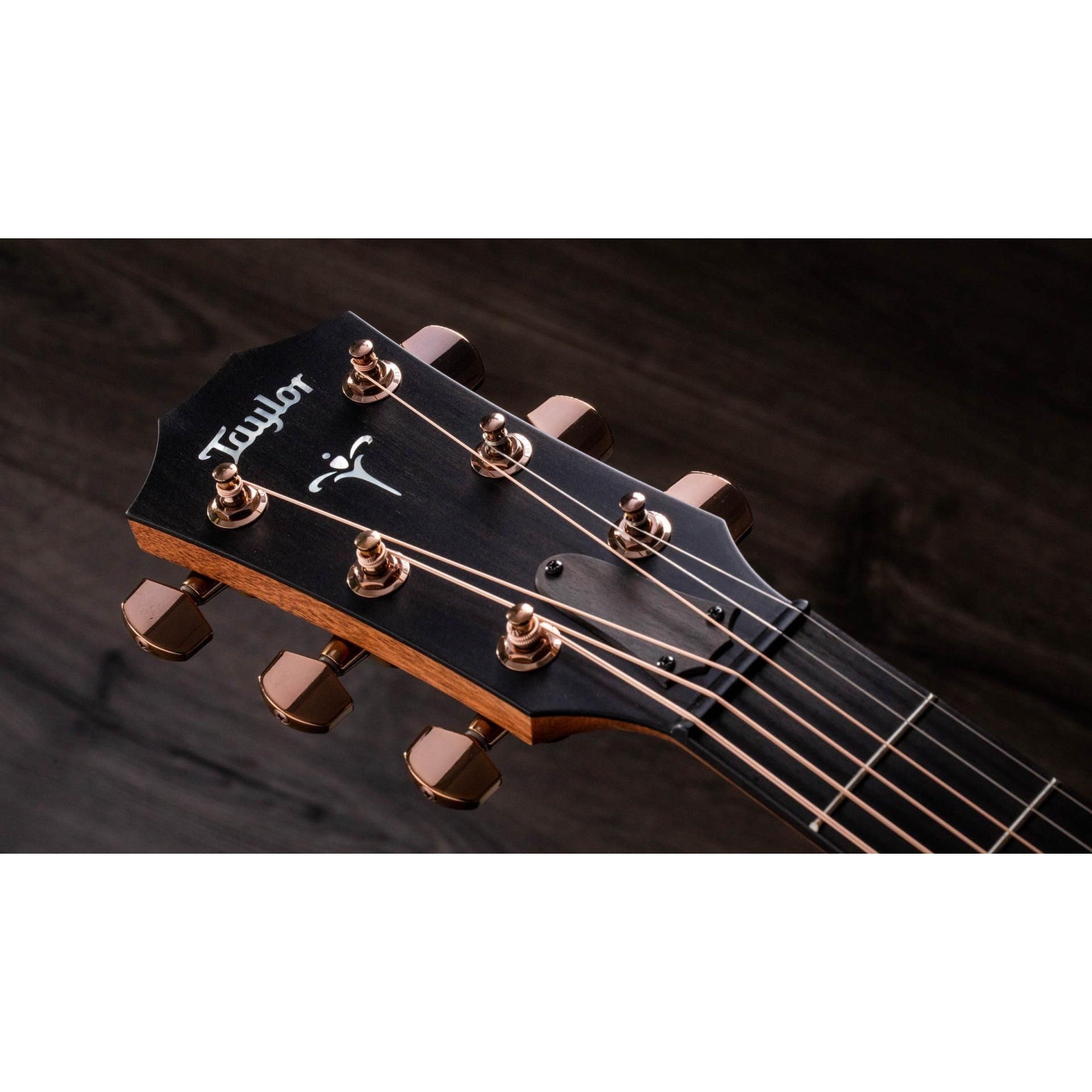 Đàn Guitar Acoustic Taylor 722ce w/Hardshell Case-Mai Nguyên Music