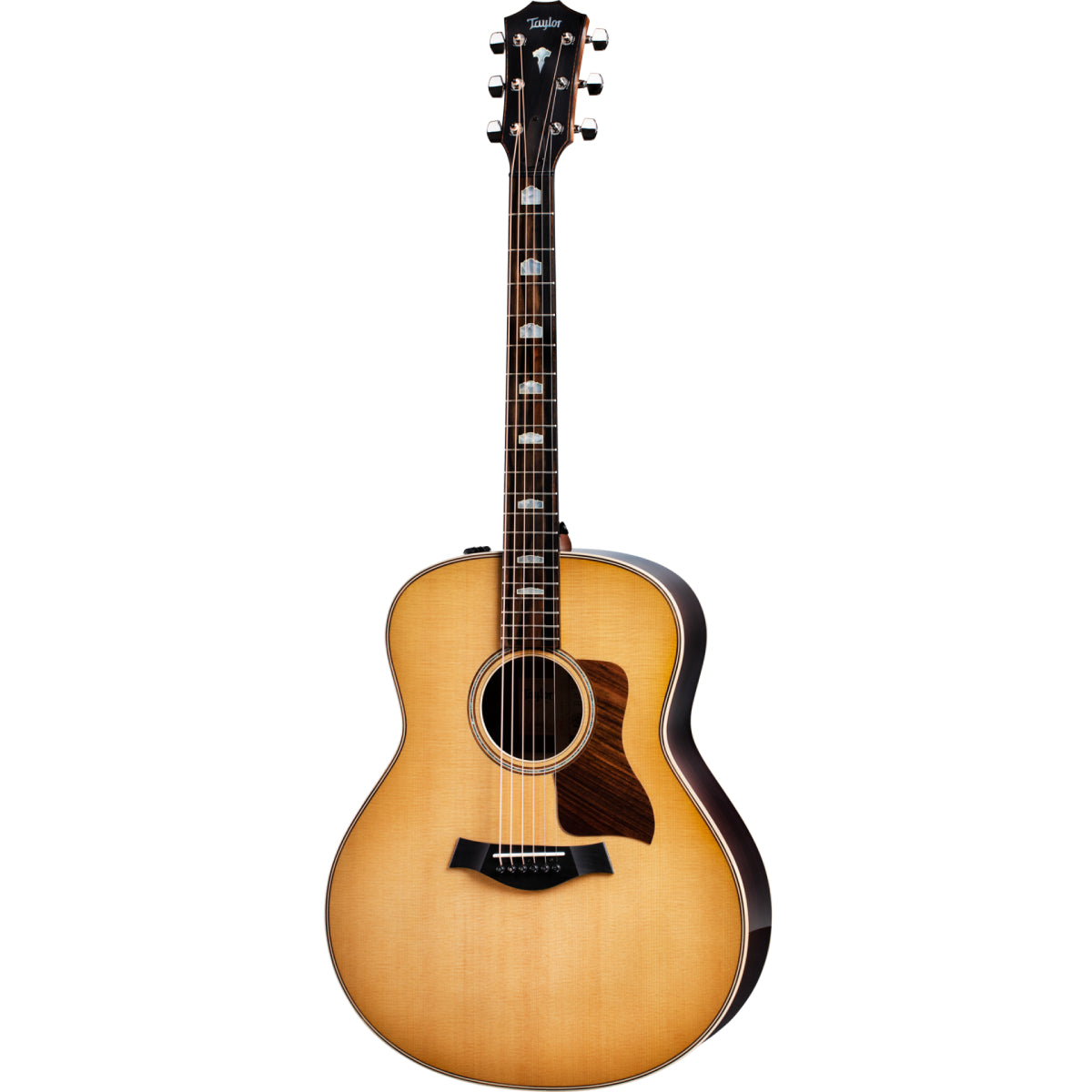 Đàn Guitar Acoustic Taylor 818e w/Case-Mai Nguyên Music