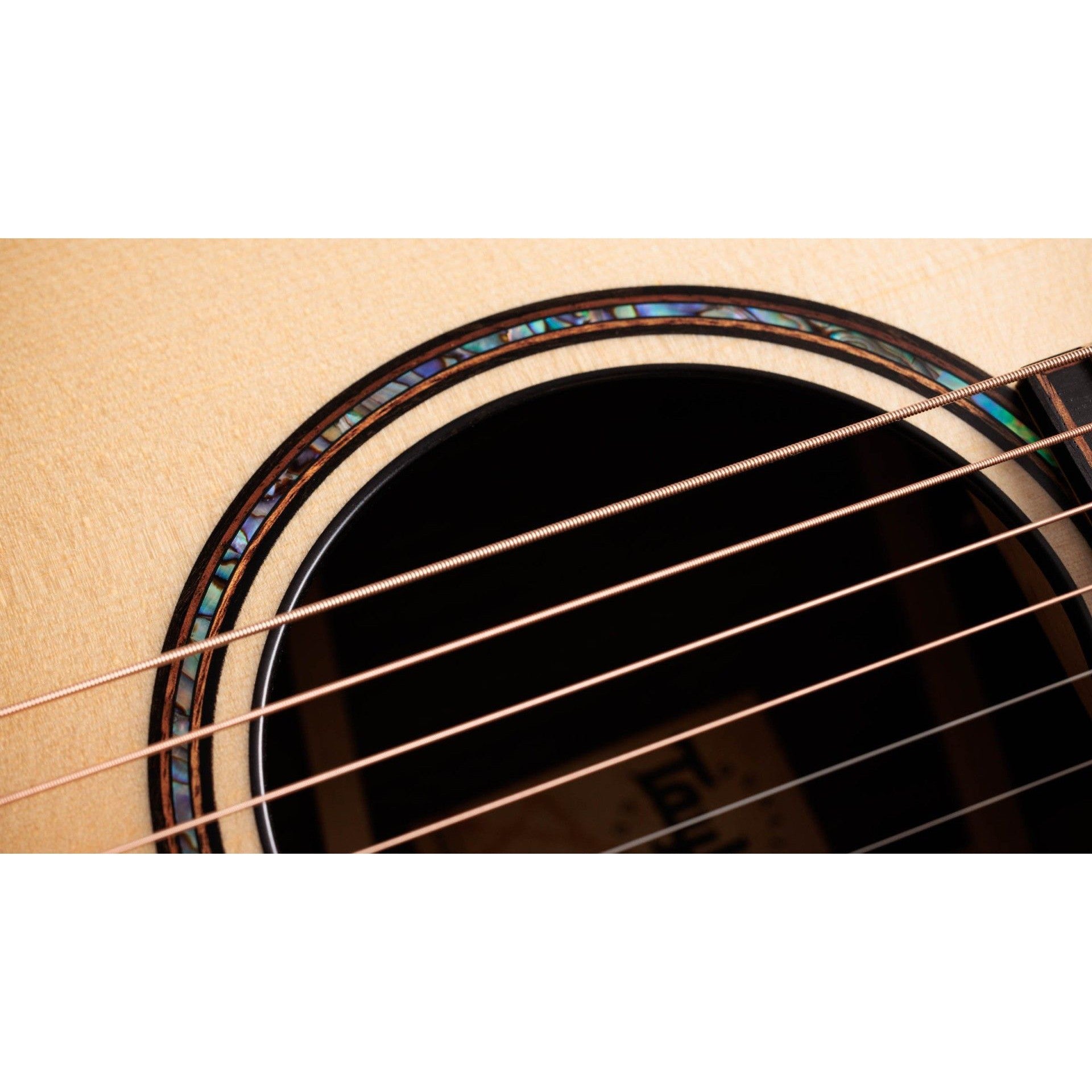 Đàn Guitar Acoustic Taylor 914ce Builder's Edition-Mai Nguyên Music