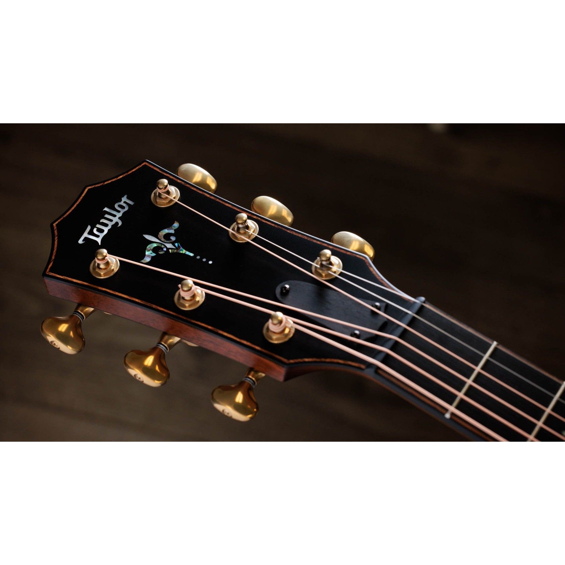 Đàn Guitar Acoustic Taylor 914ce Builder's Edition-Mai Nguyên Music