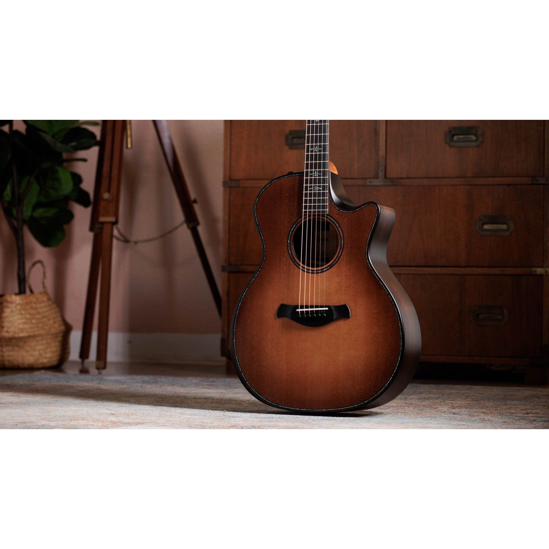 Đàn Guitar Acoustic Taylor 914ce WHB Builder's Edition-Mai Nguyên Music